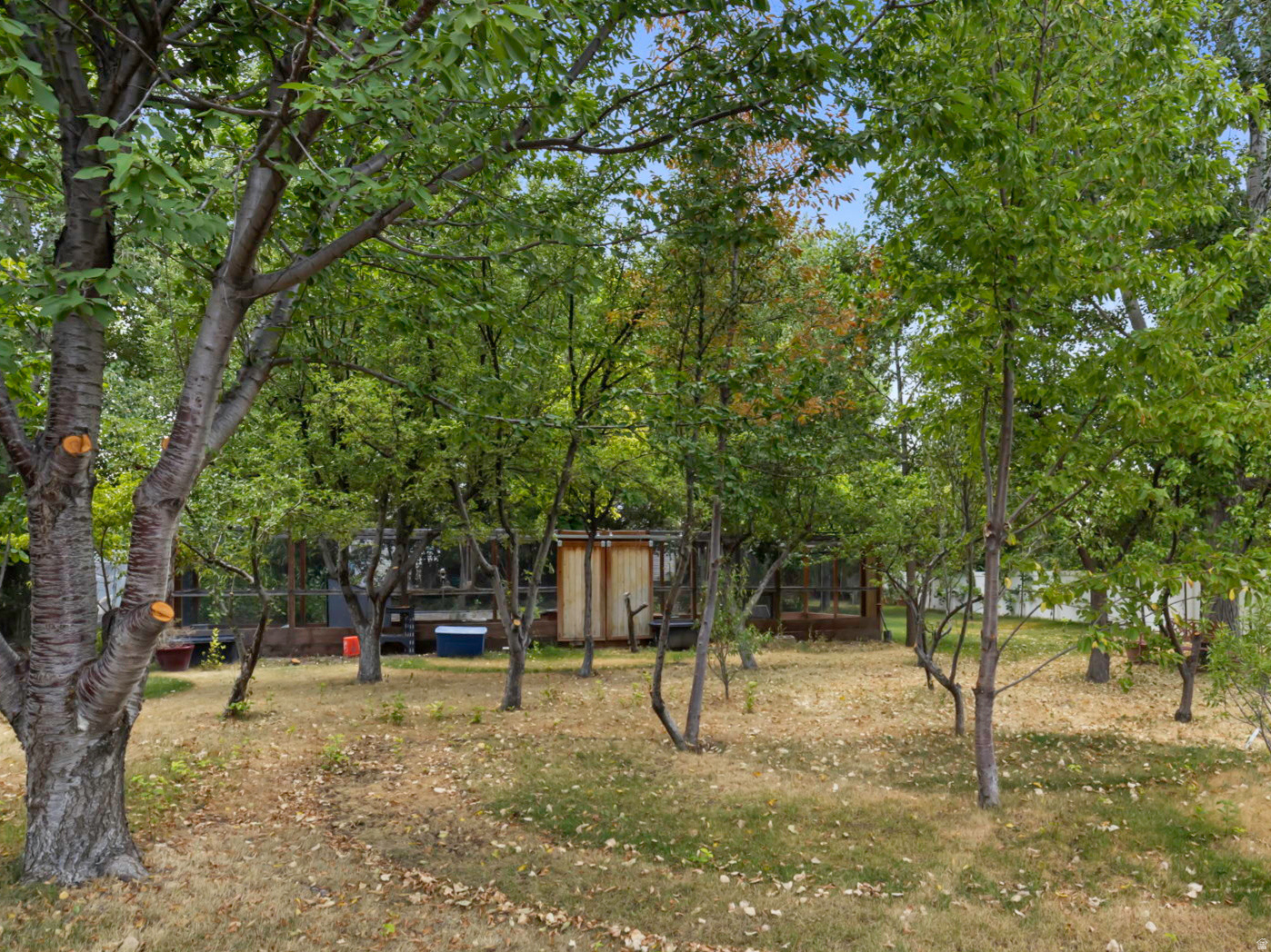 main property photo 24