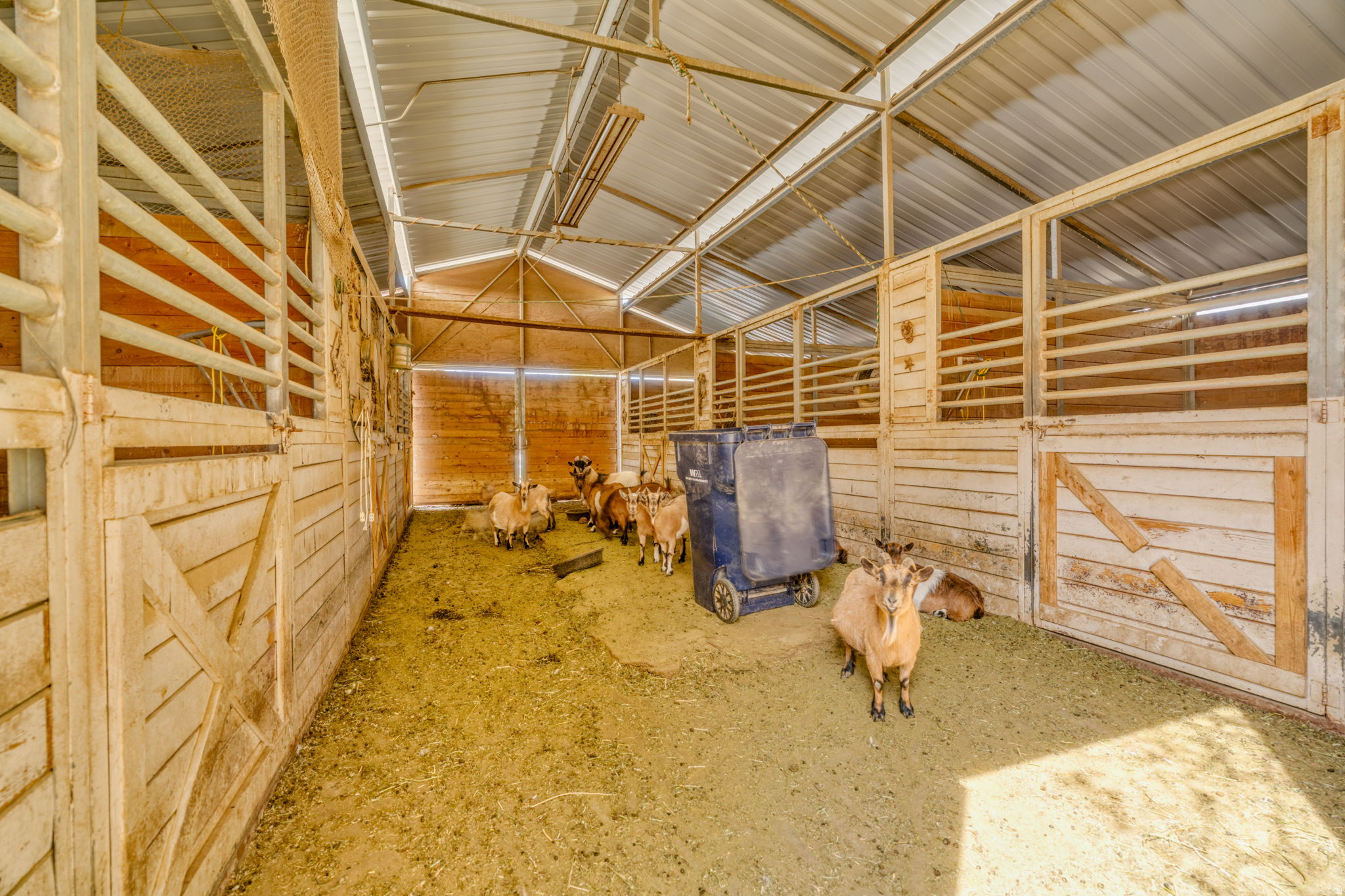 main property photo 45