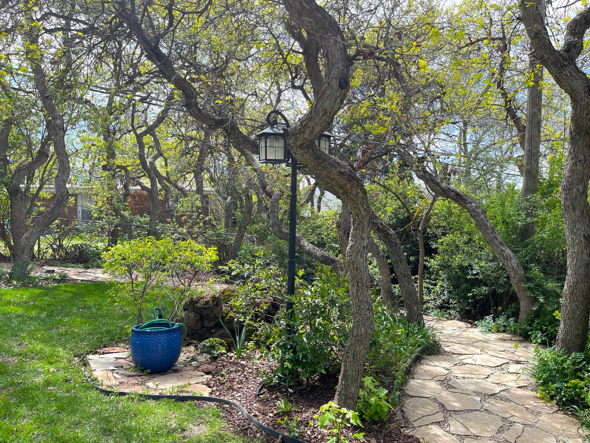 main property photo 39