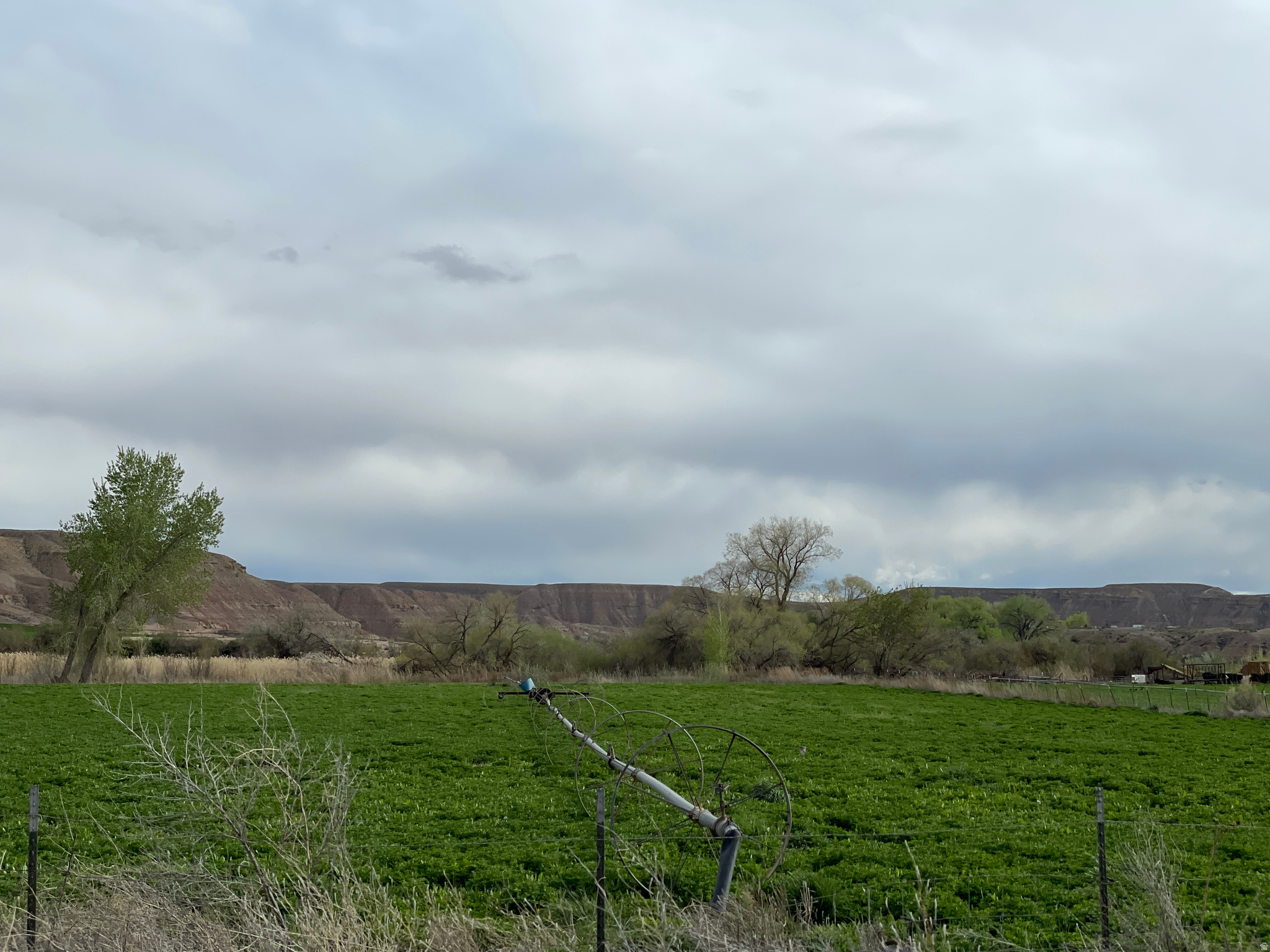 main property photo 29