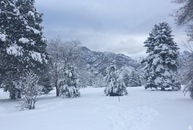 main property photo 44