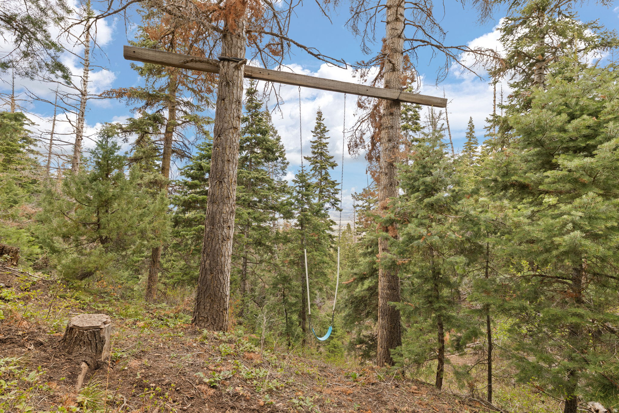 main property photo 57