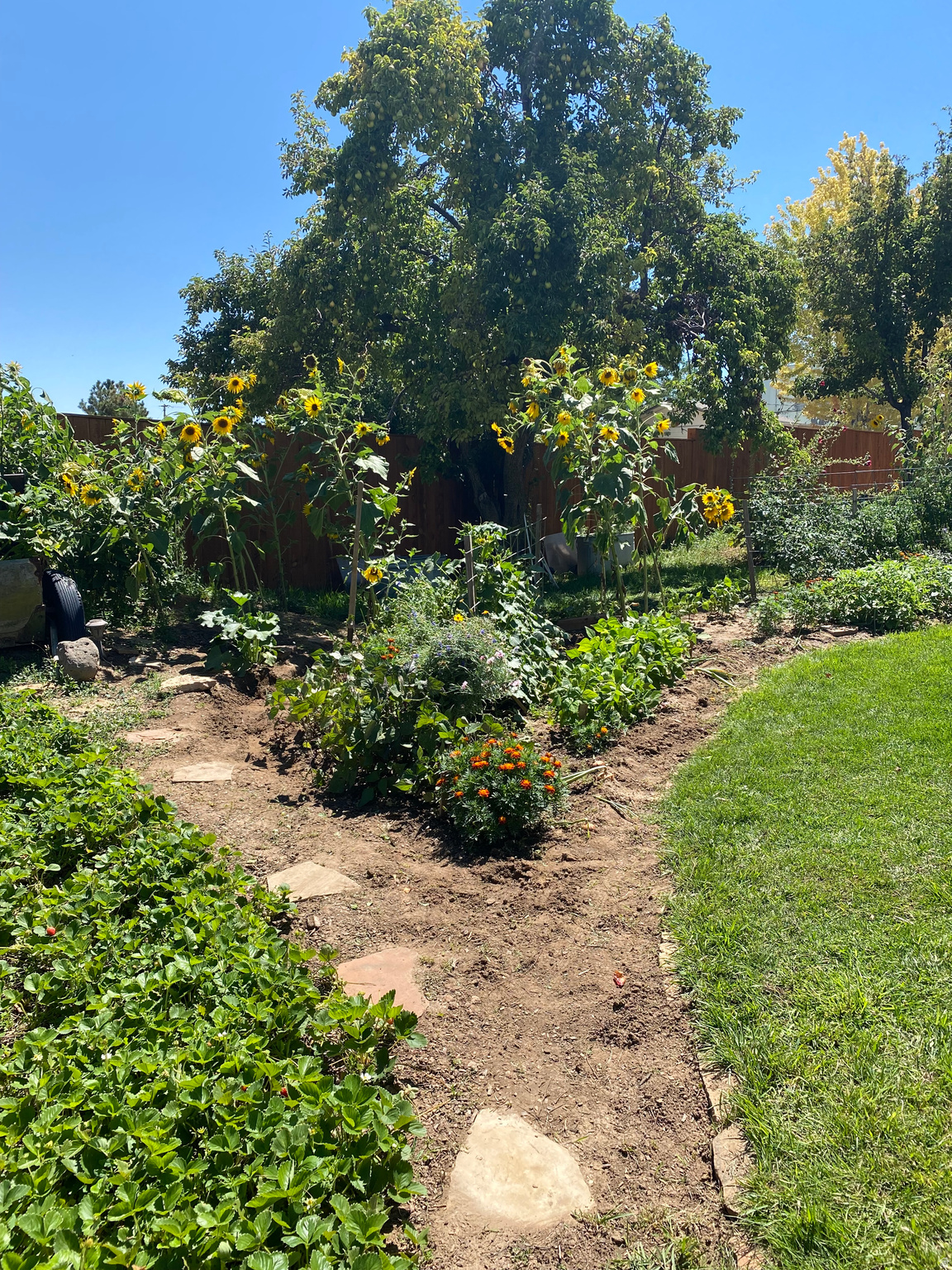 main property photo 38