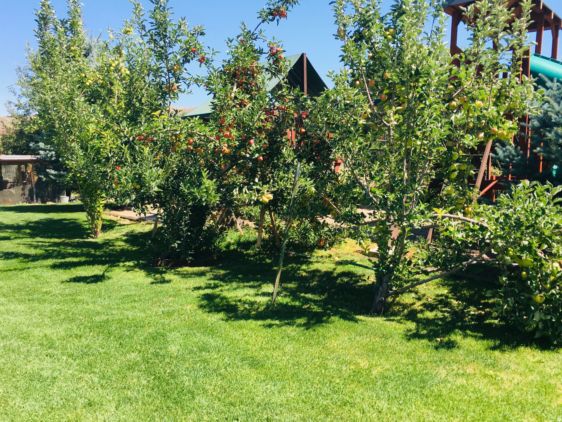 main property photo 38