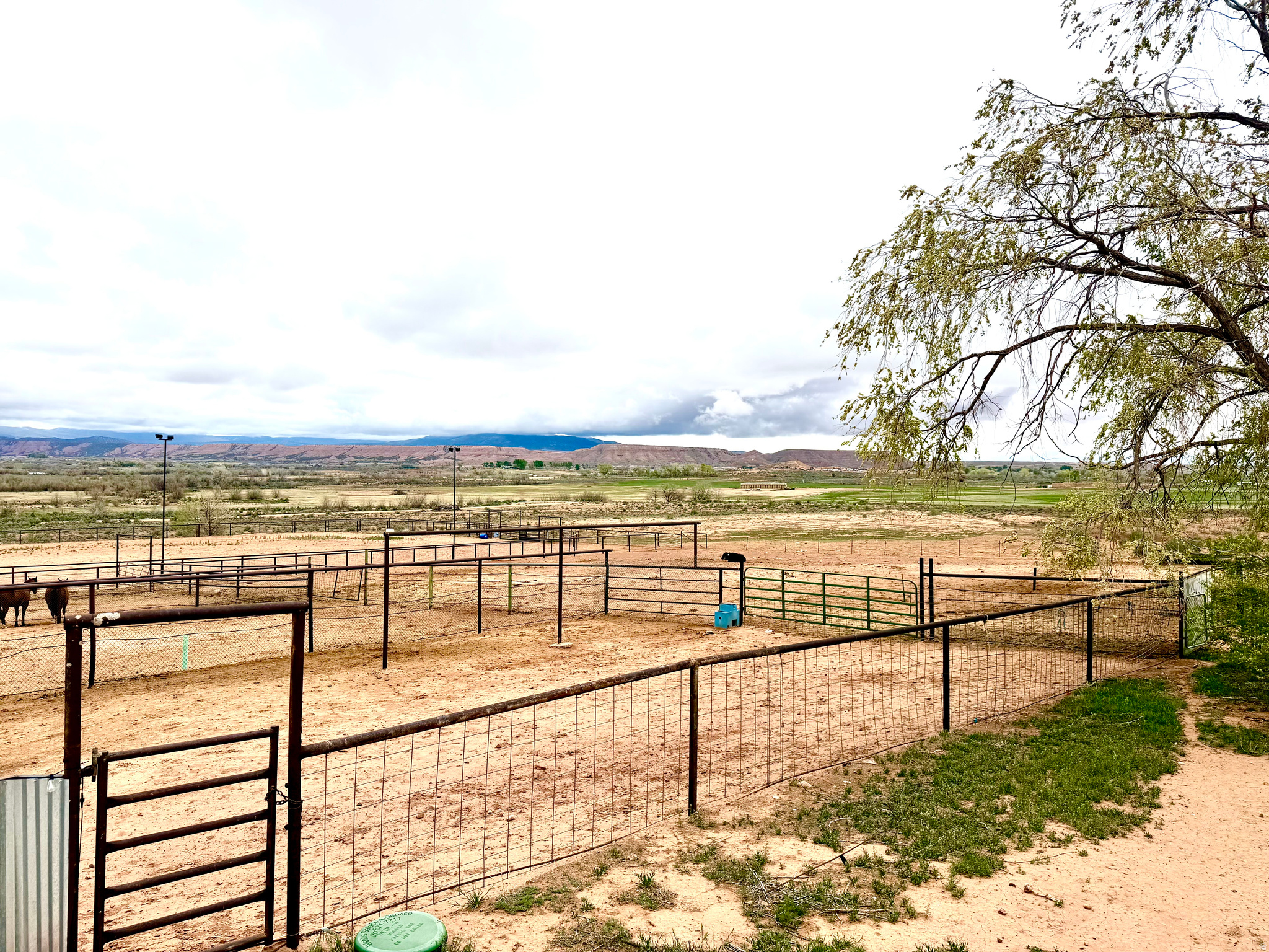 main property photo 37
