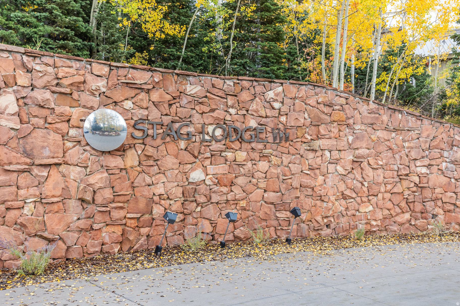 main property photo 54