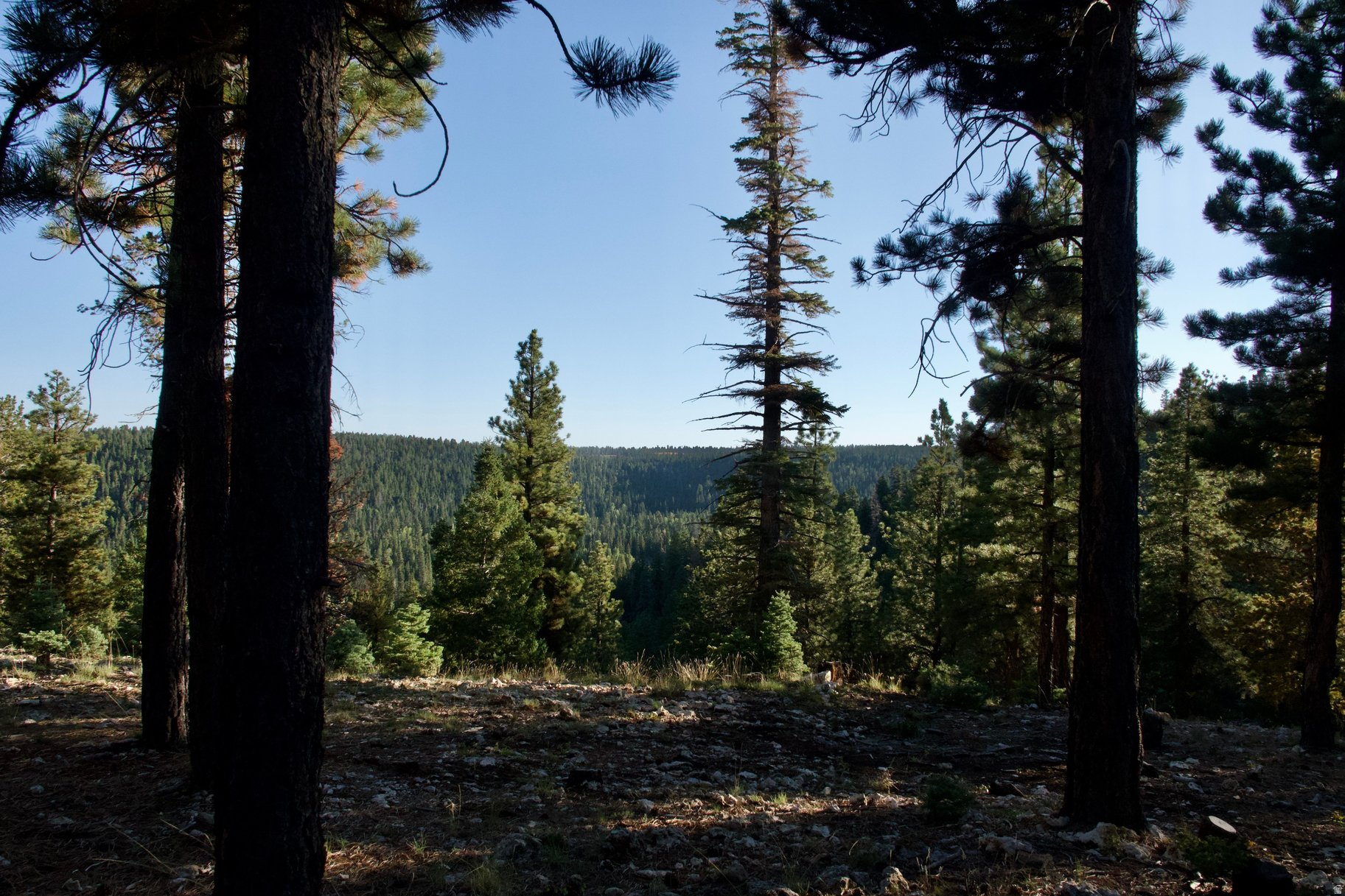 main property photo 19