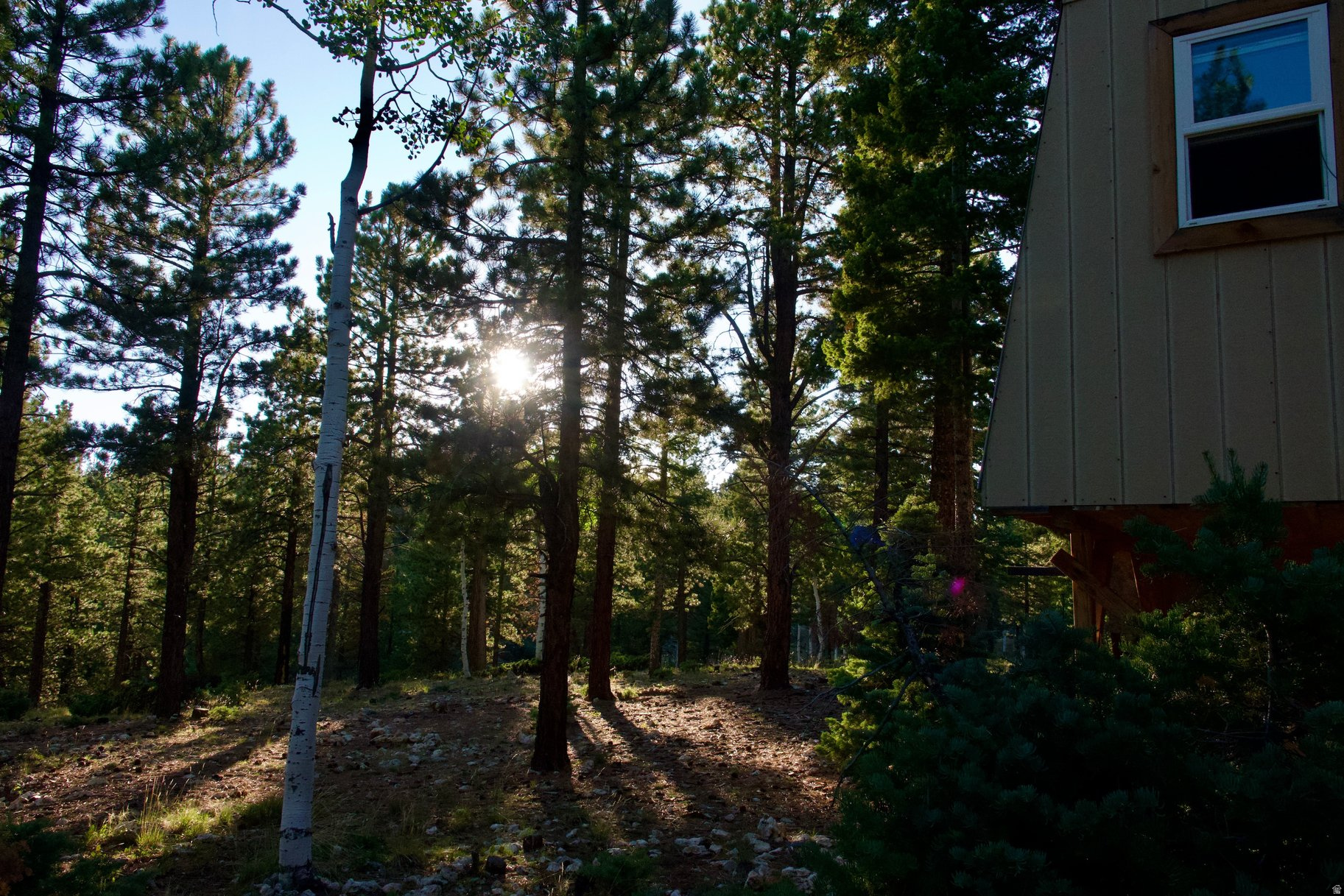main property photo 24
