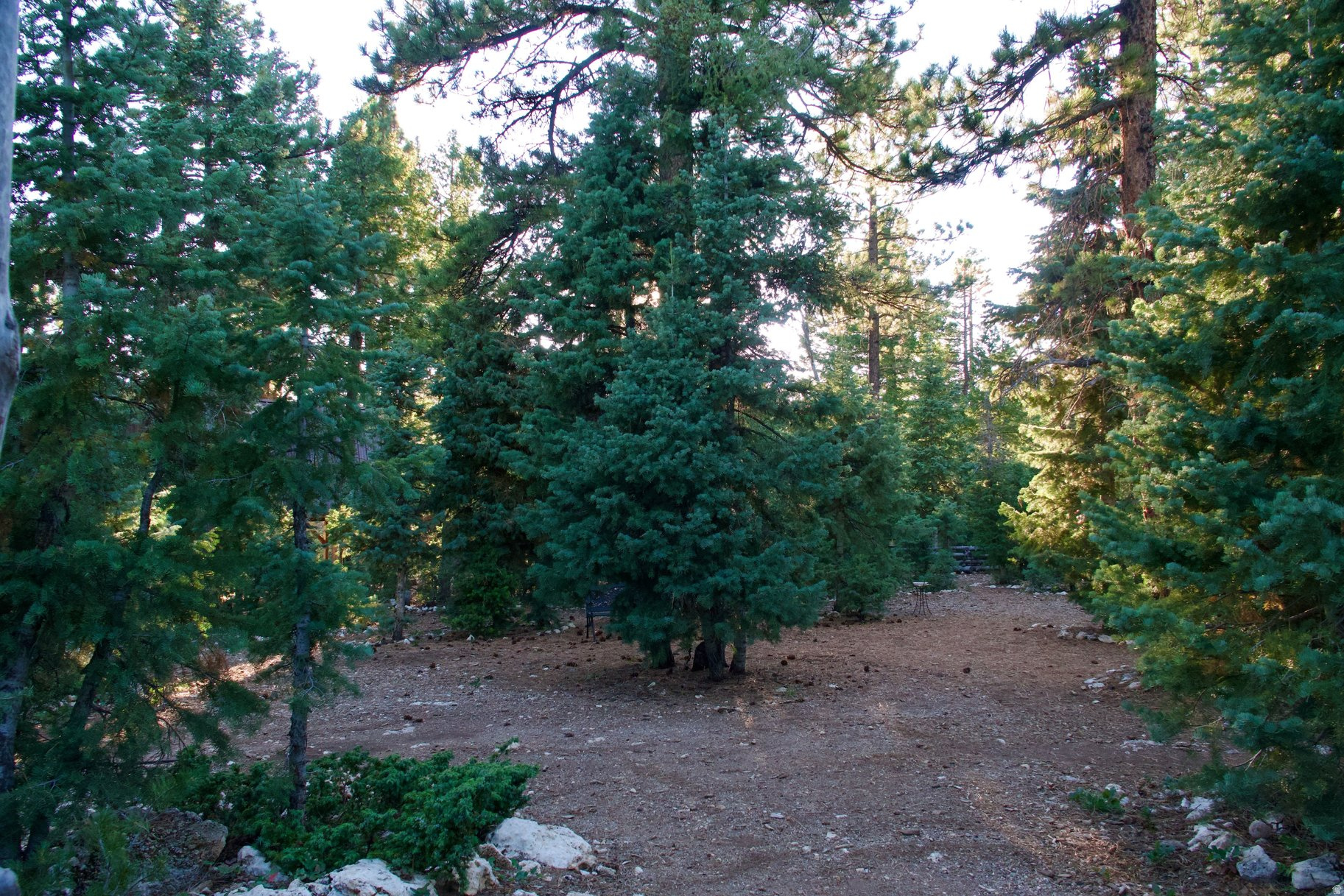 main property photo 26