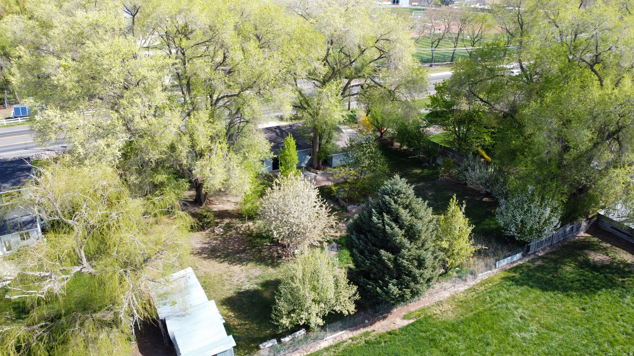 main property photo 42