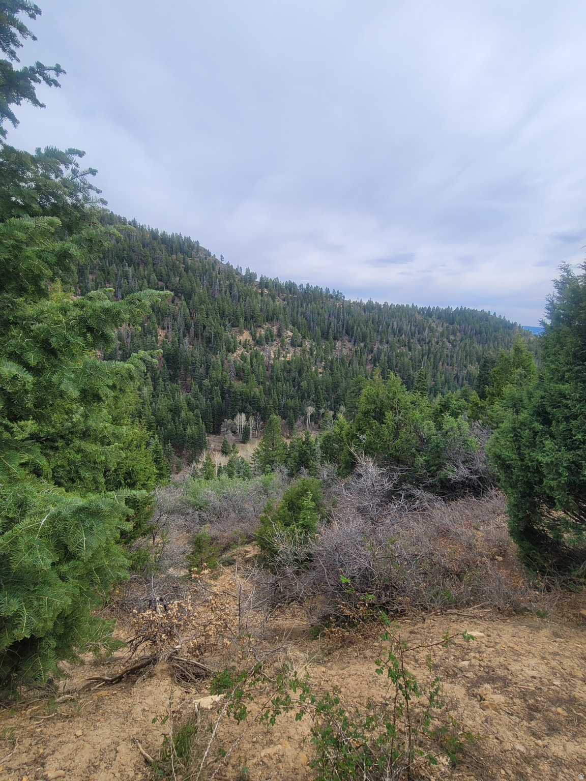 main property photo 0