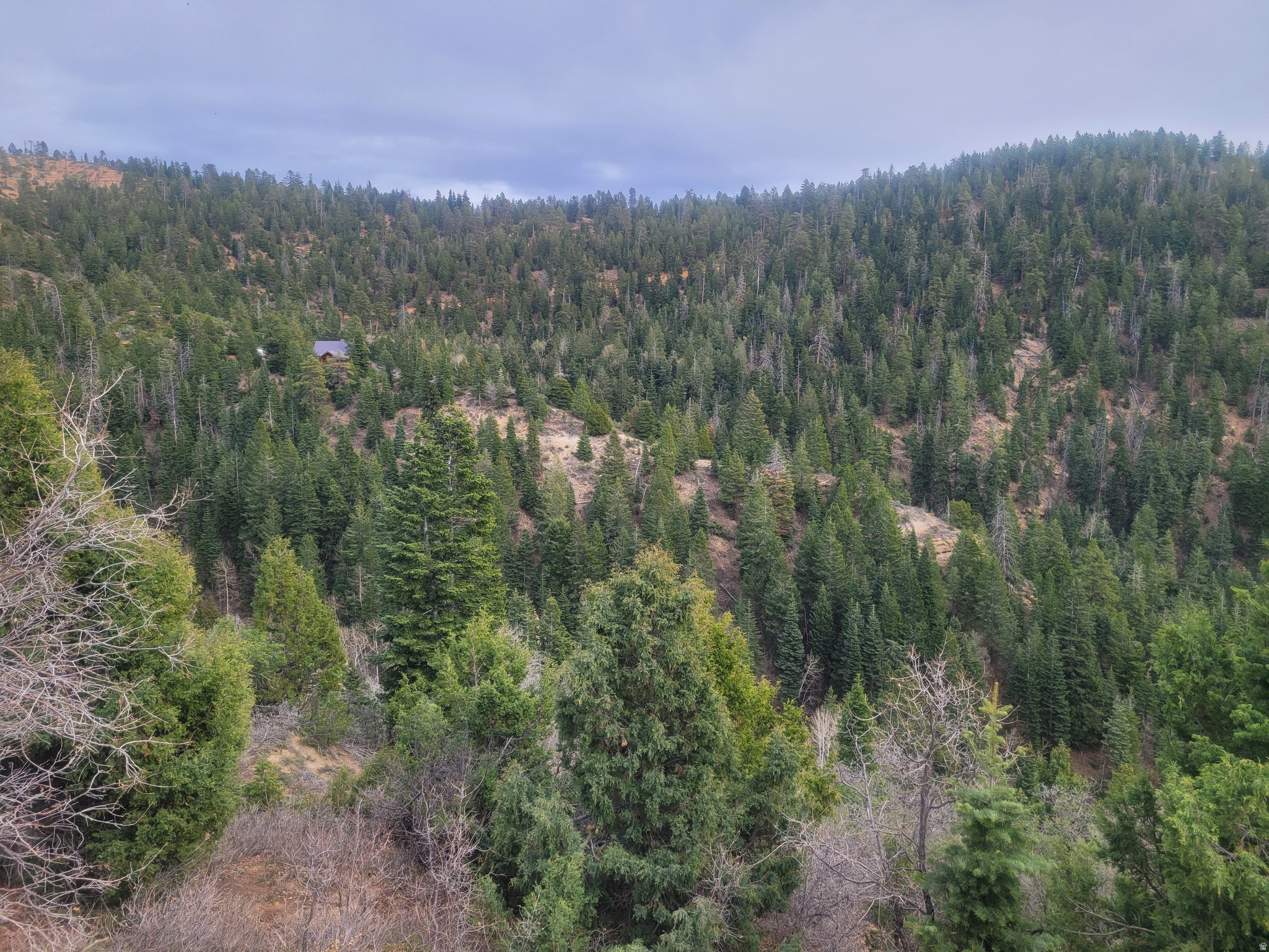 main property photo 18