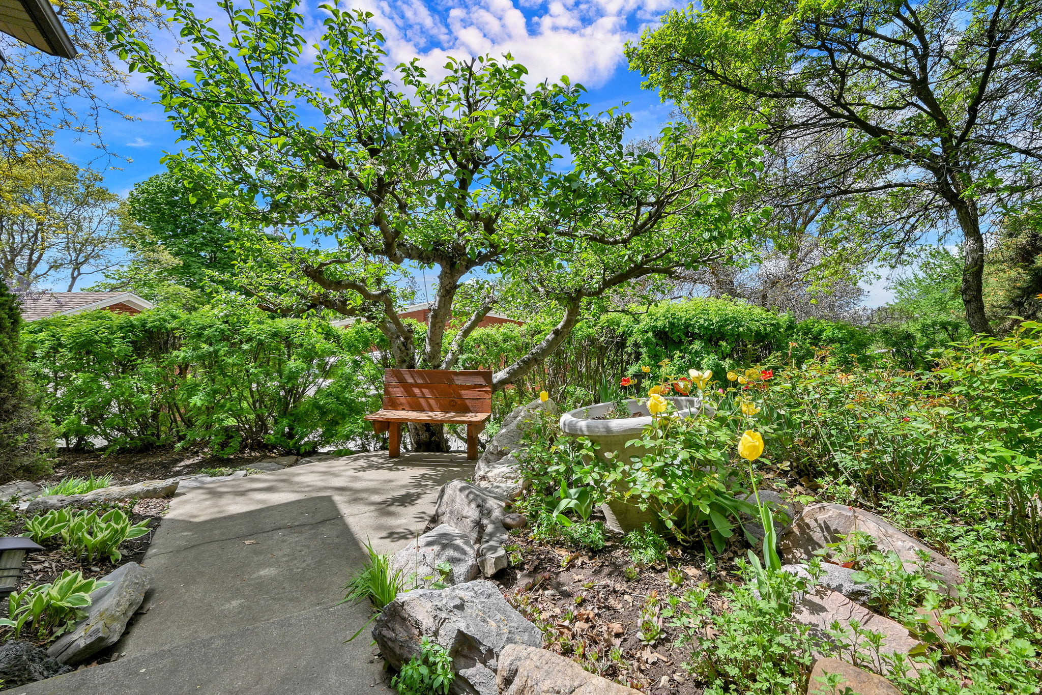 main property photo 61