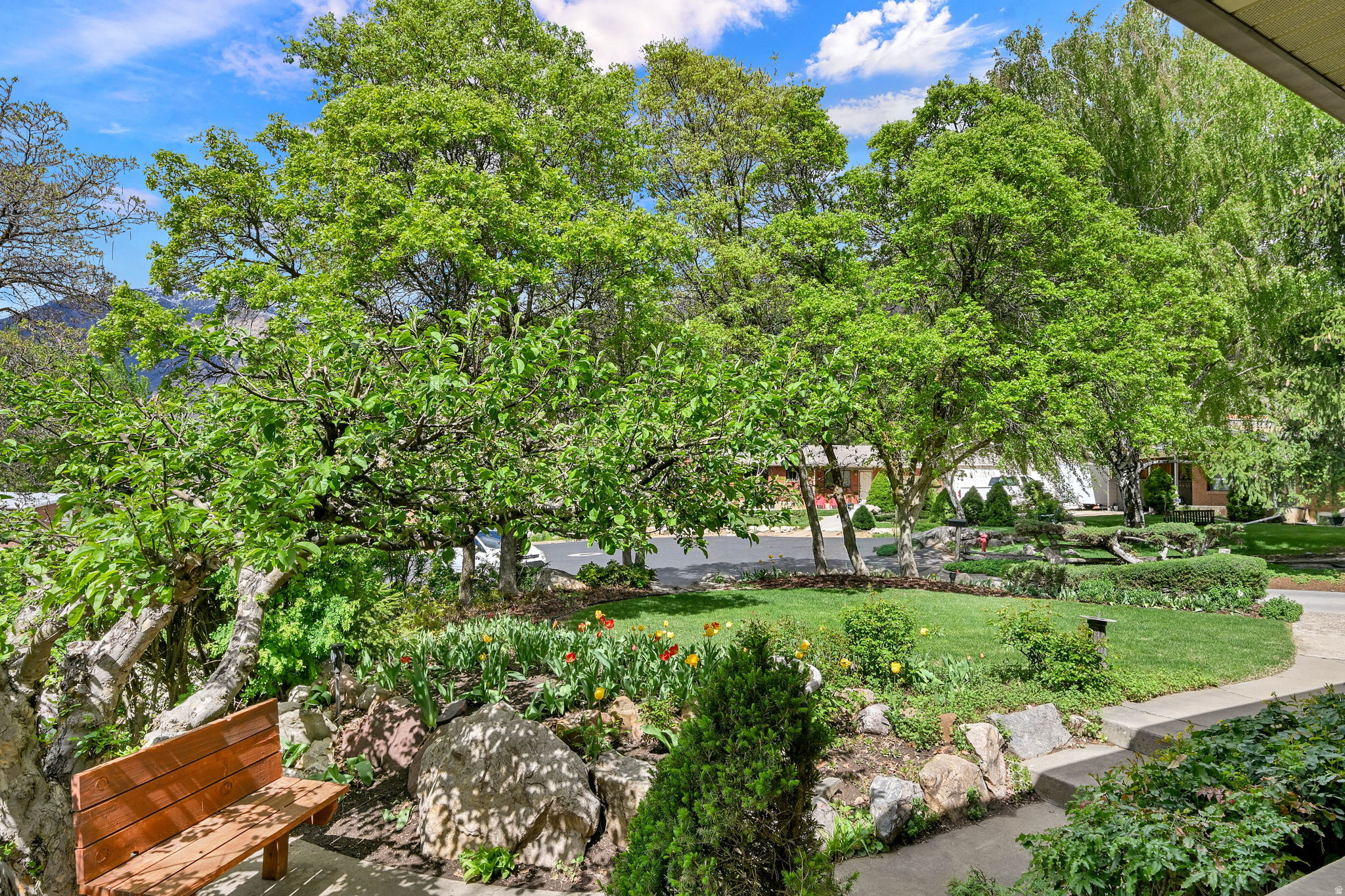 main property photo 62