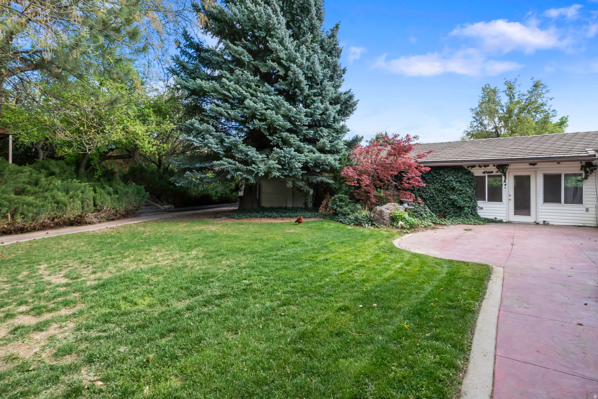 main property photo 38