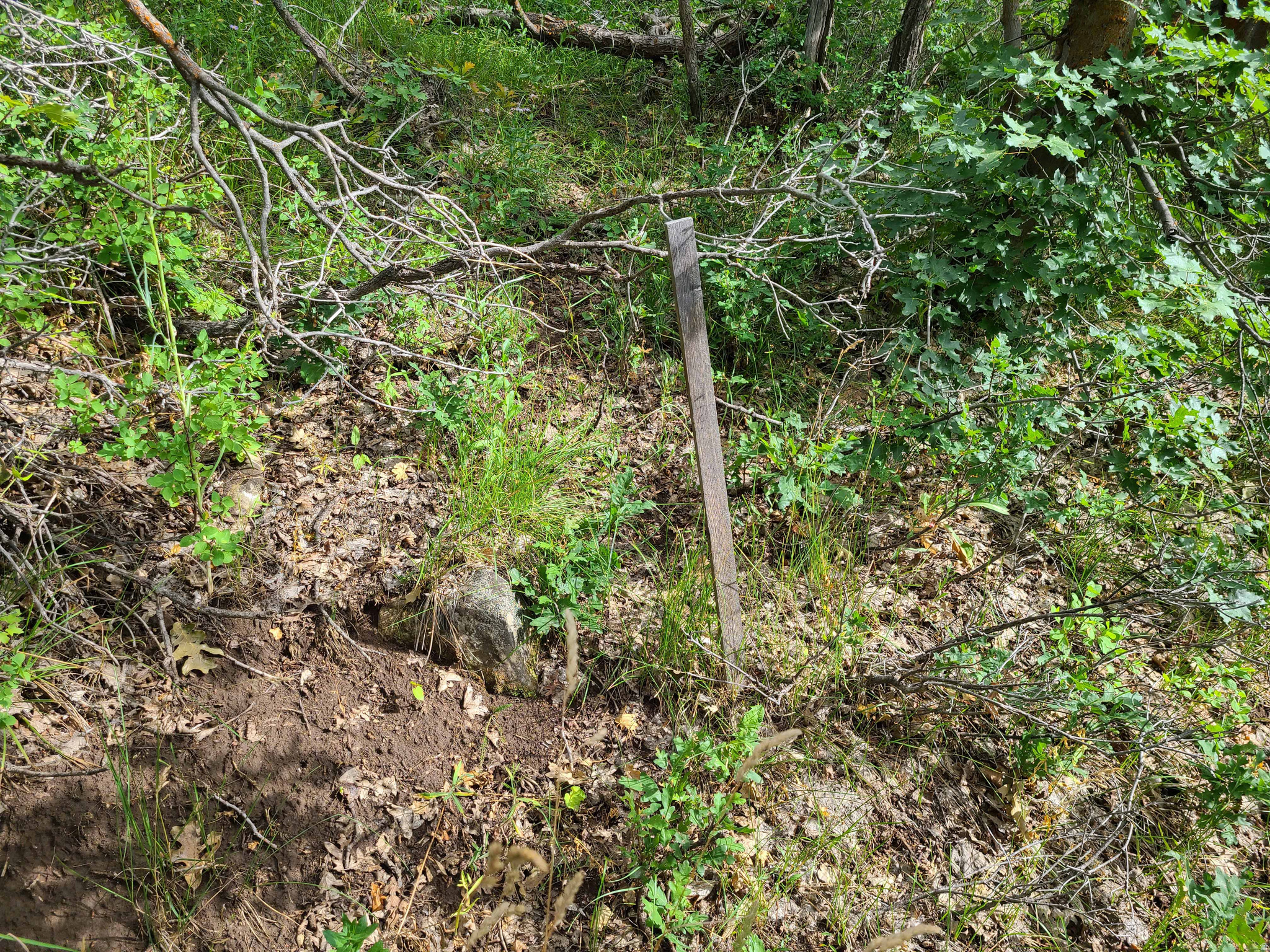 main property photo 14
