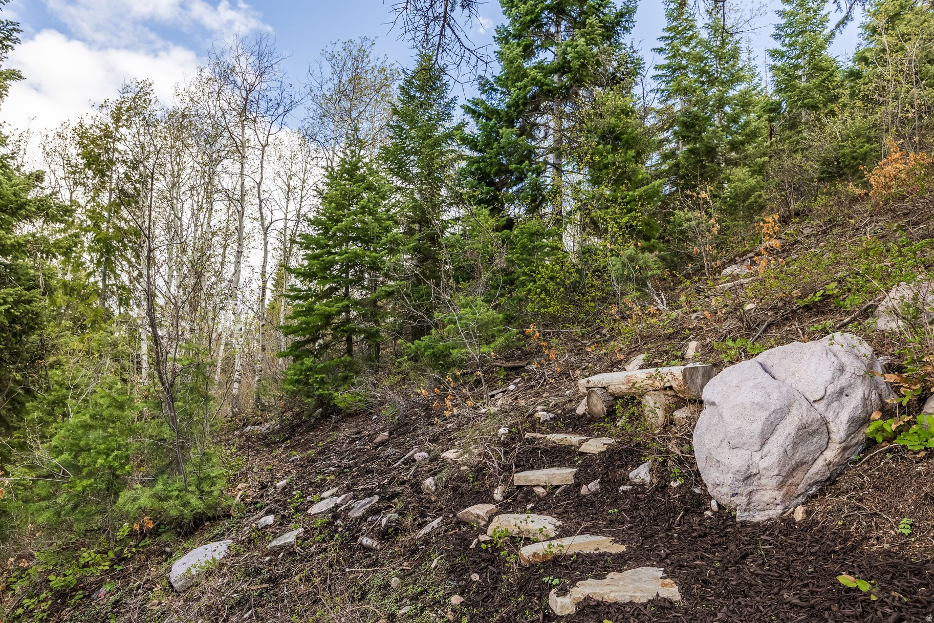 main property photo 59