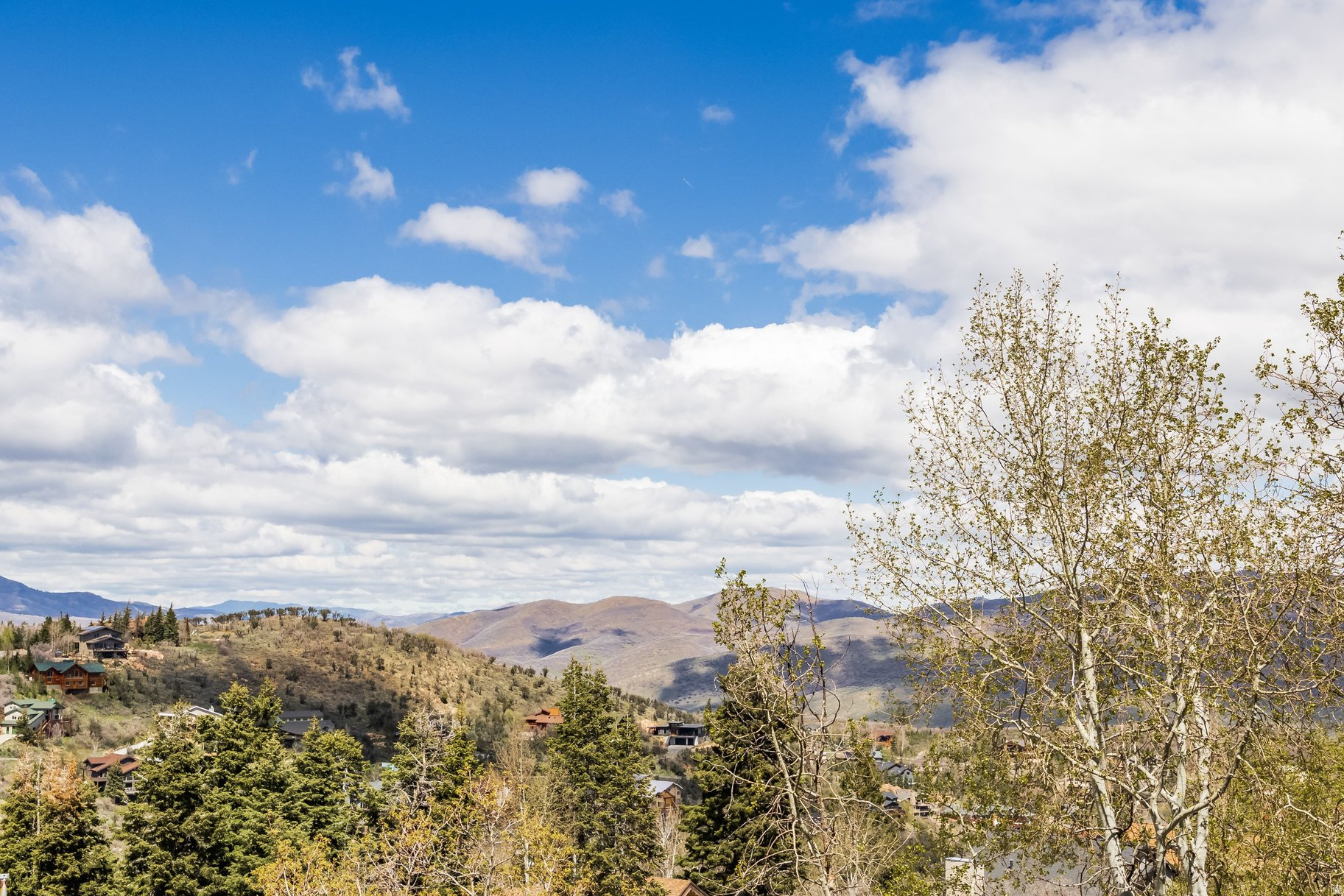 main property photo 71