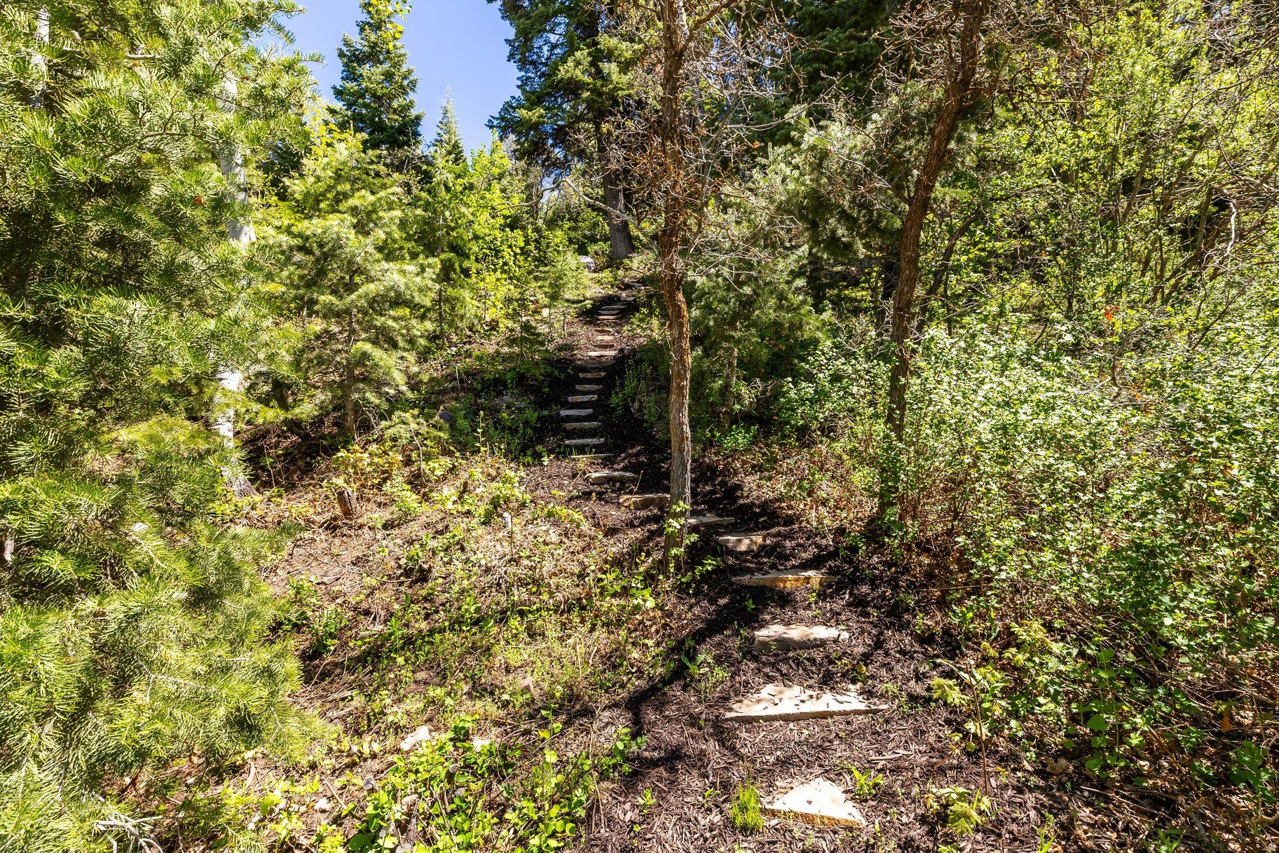 main property photo 84
