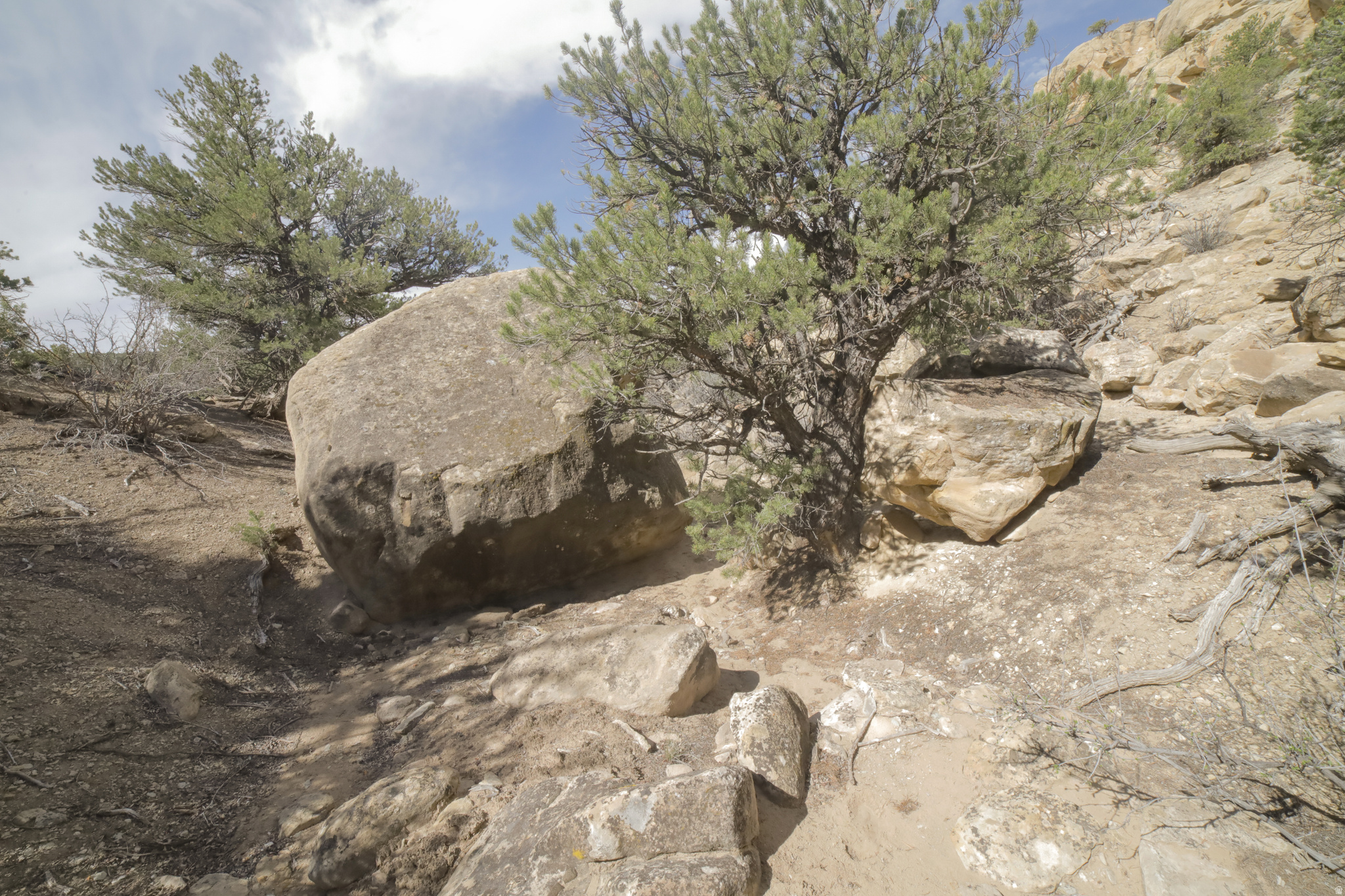 main property photo 45