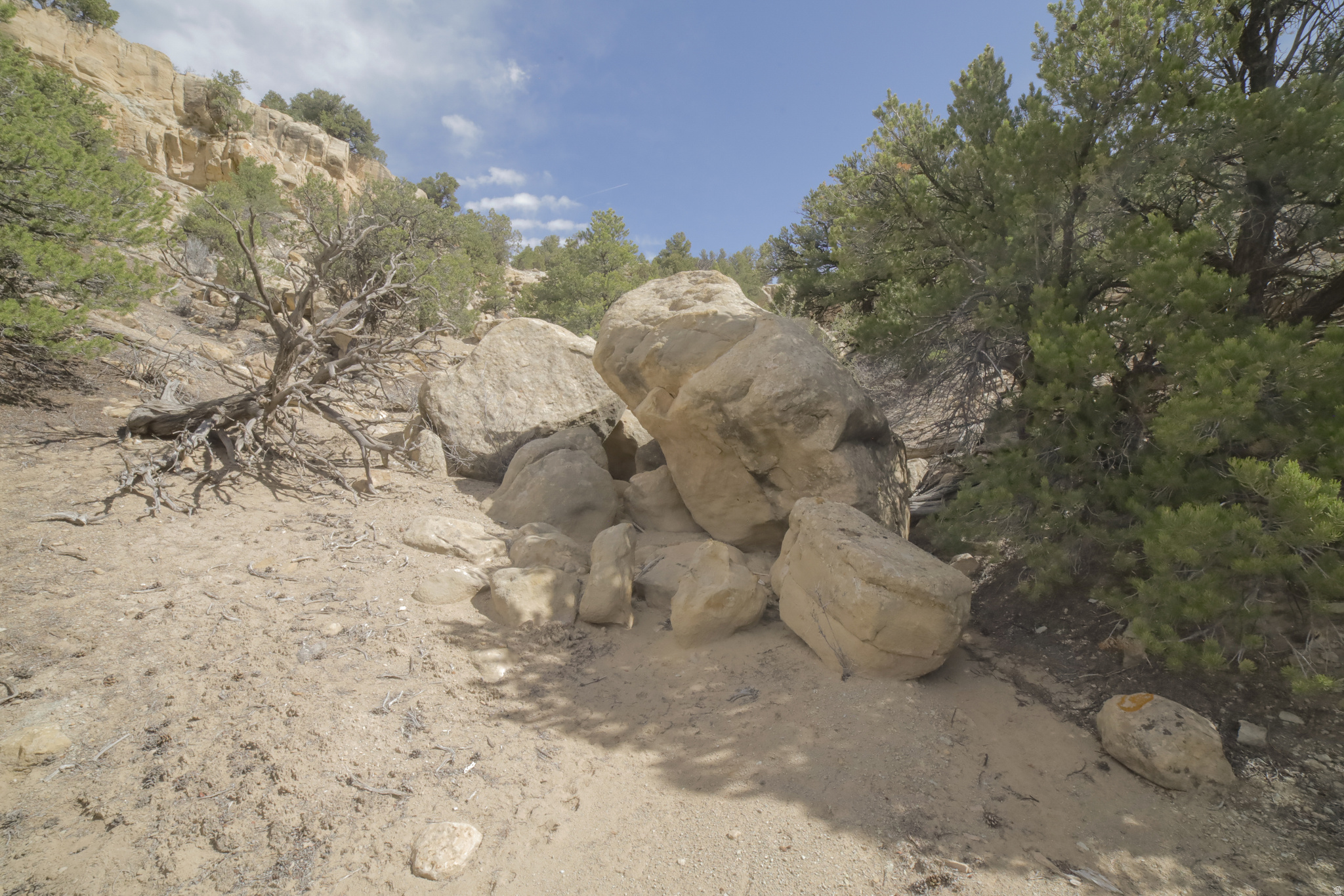 main property photo 47