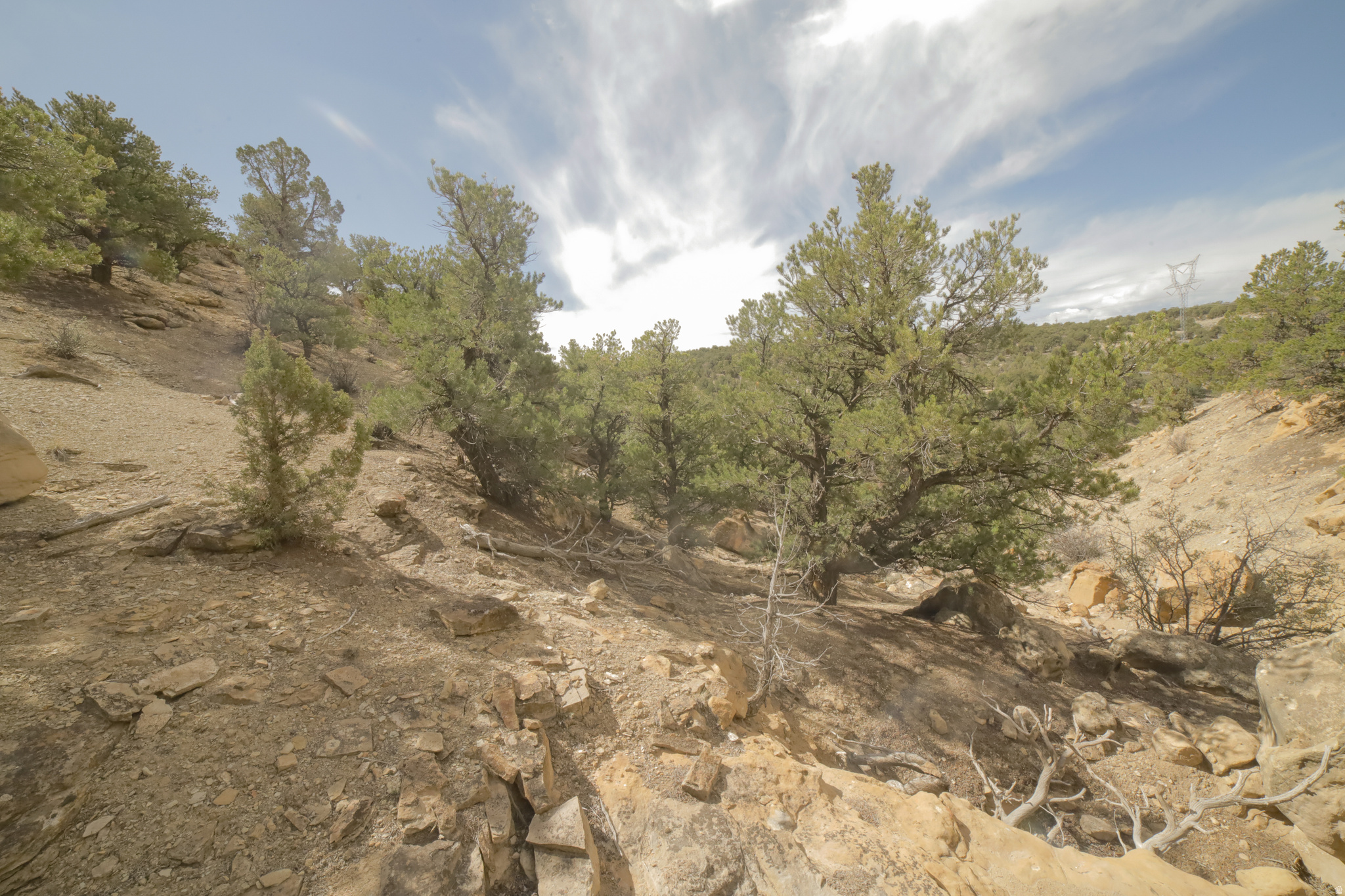 main property photo 51
