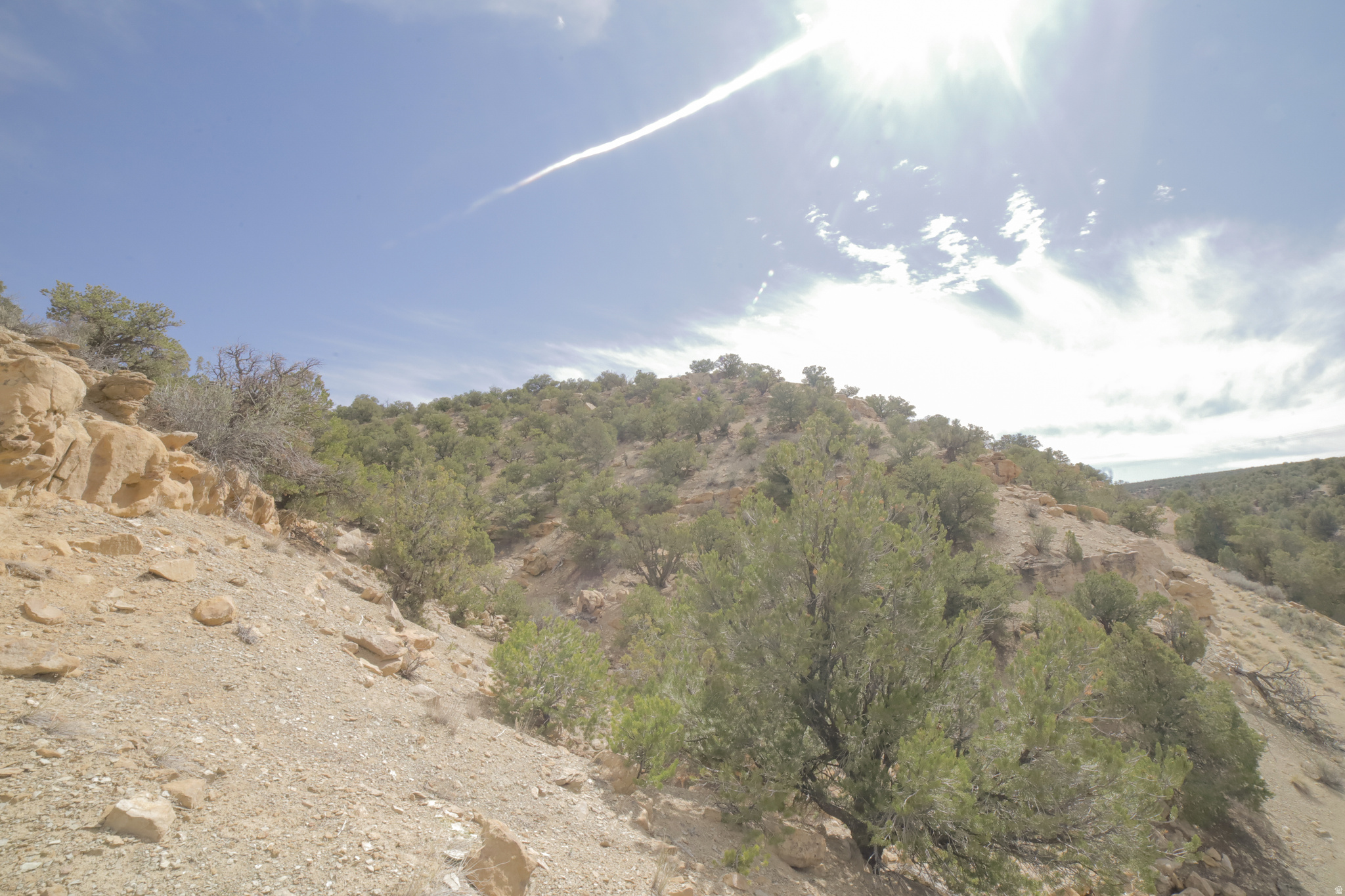 main property photo 53