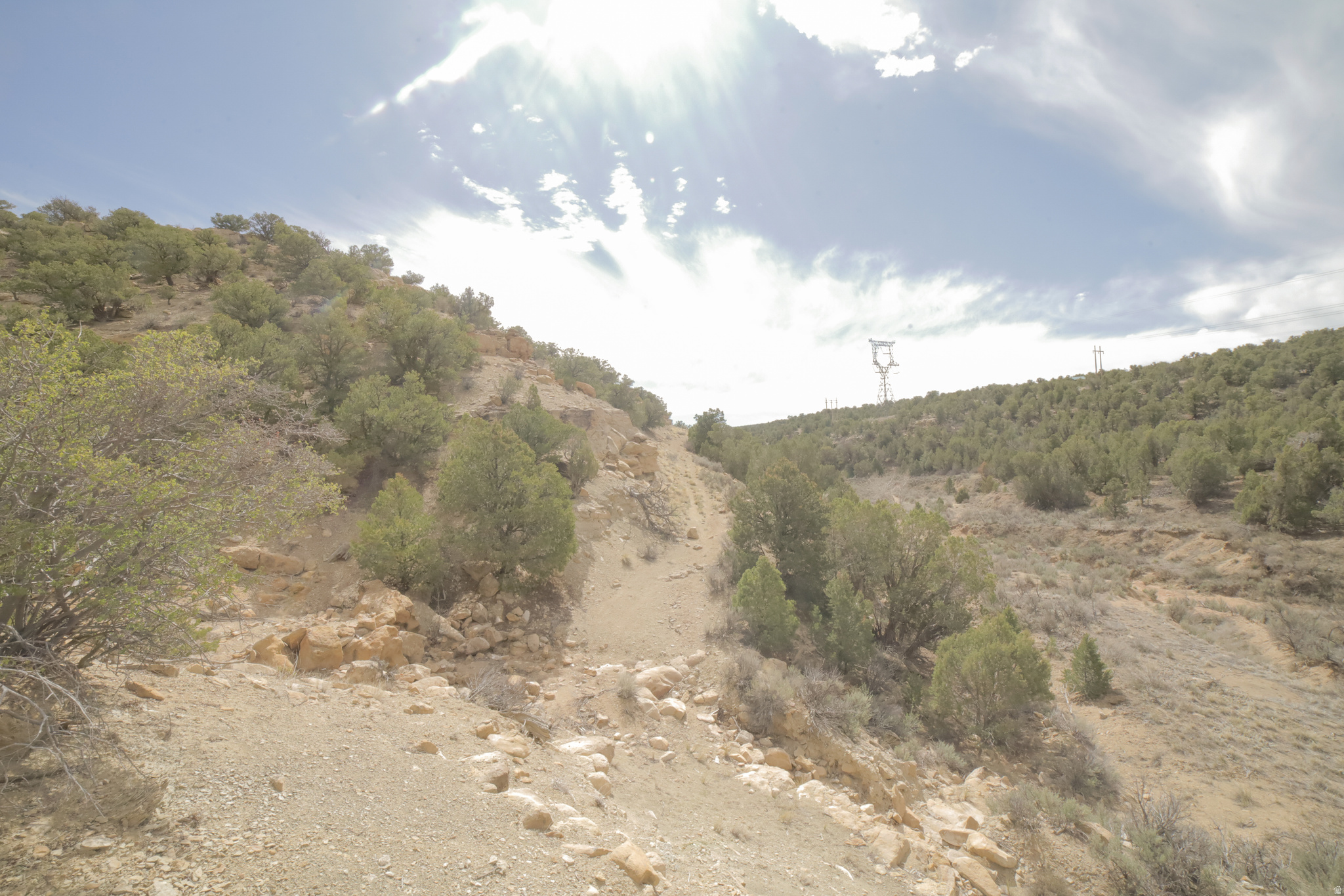 main property photo 54