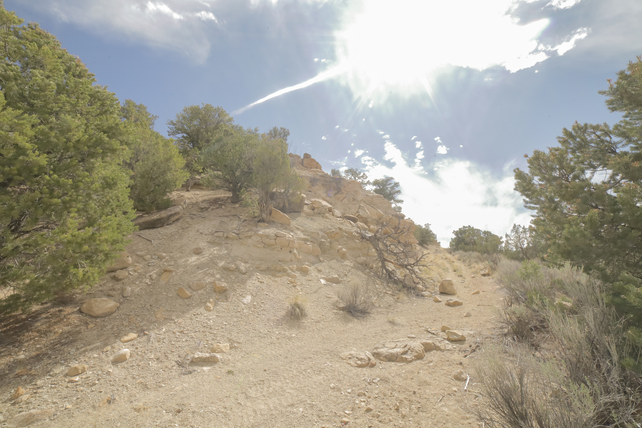 main property photo 55