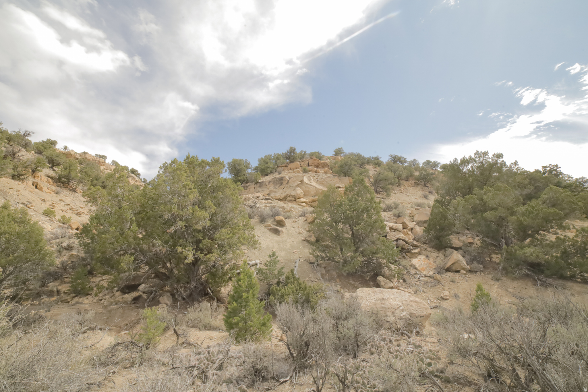main property photo 56