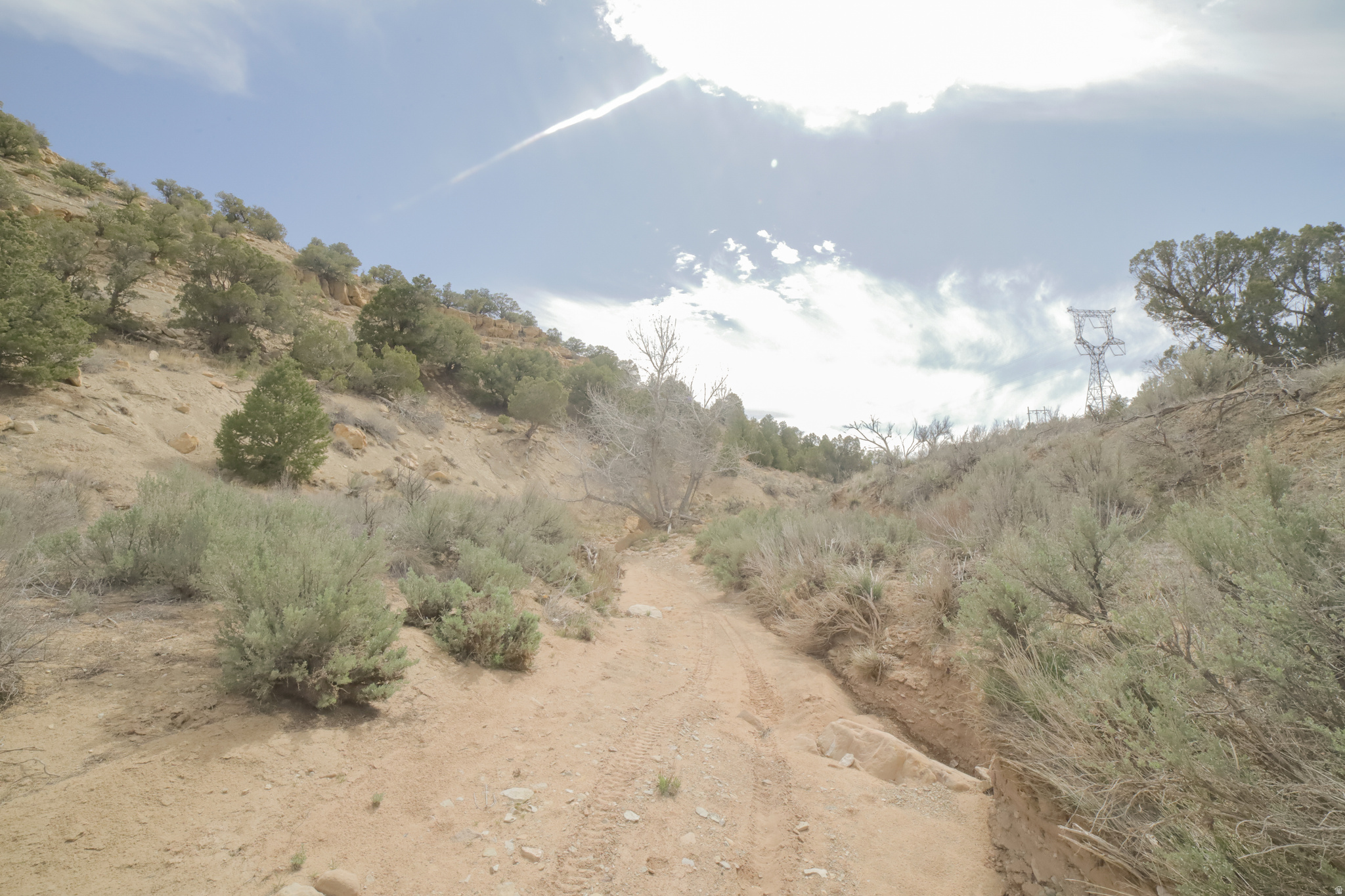 main property photo 57