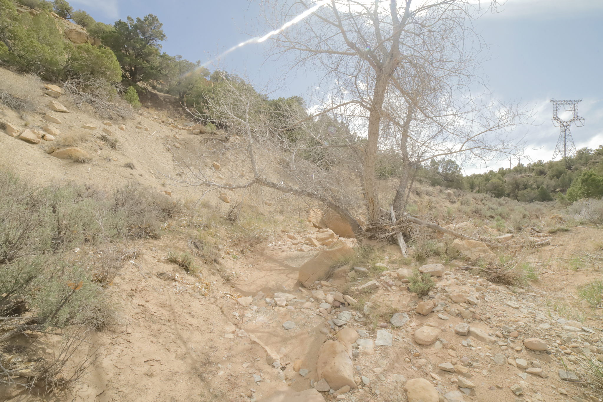 main property photo 58