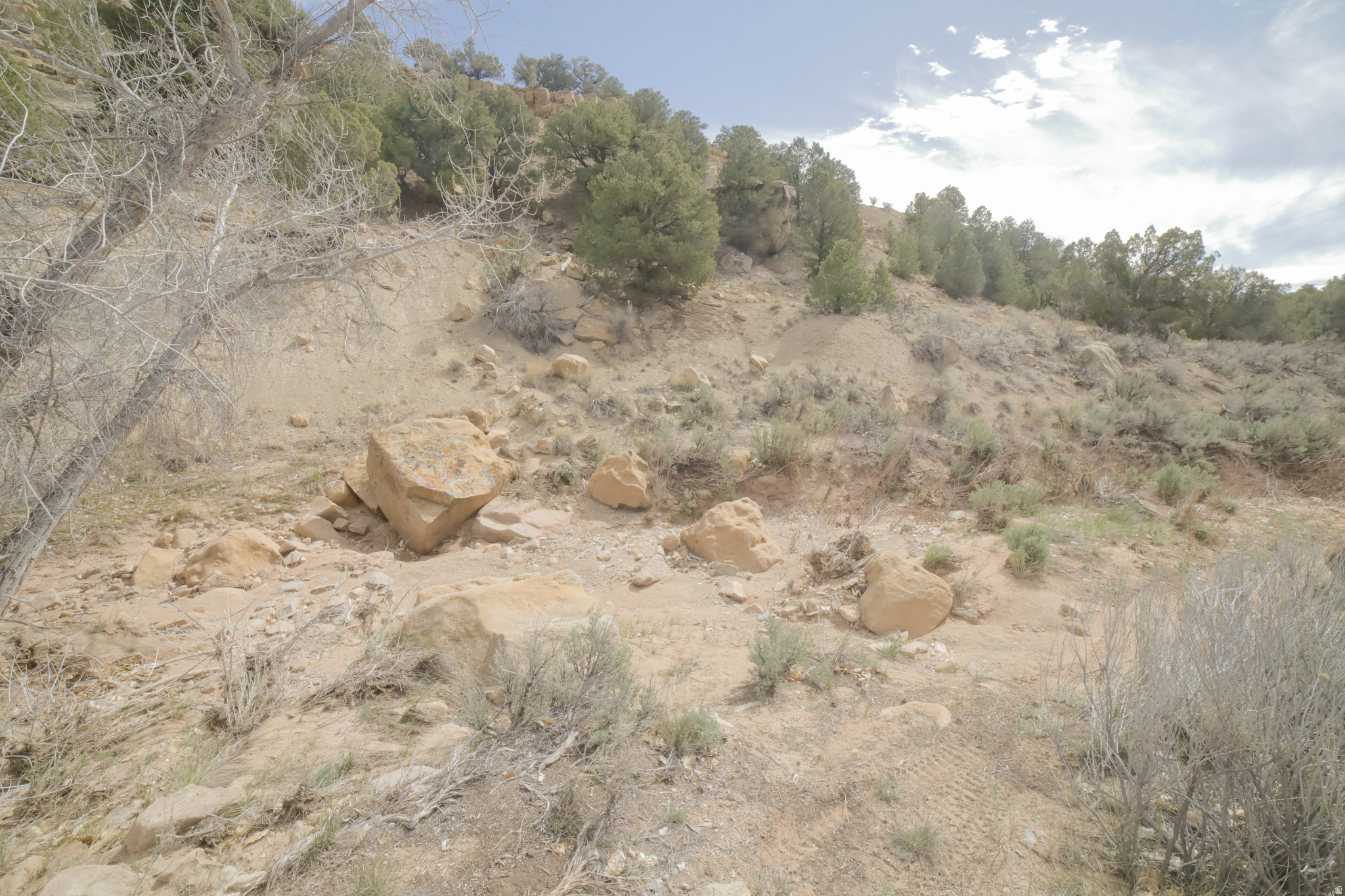 main property photo 59