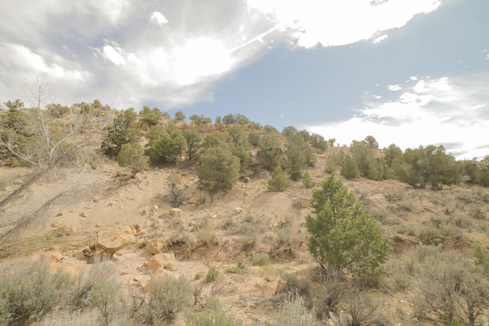 main property photo 60