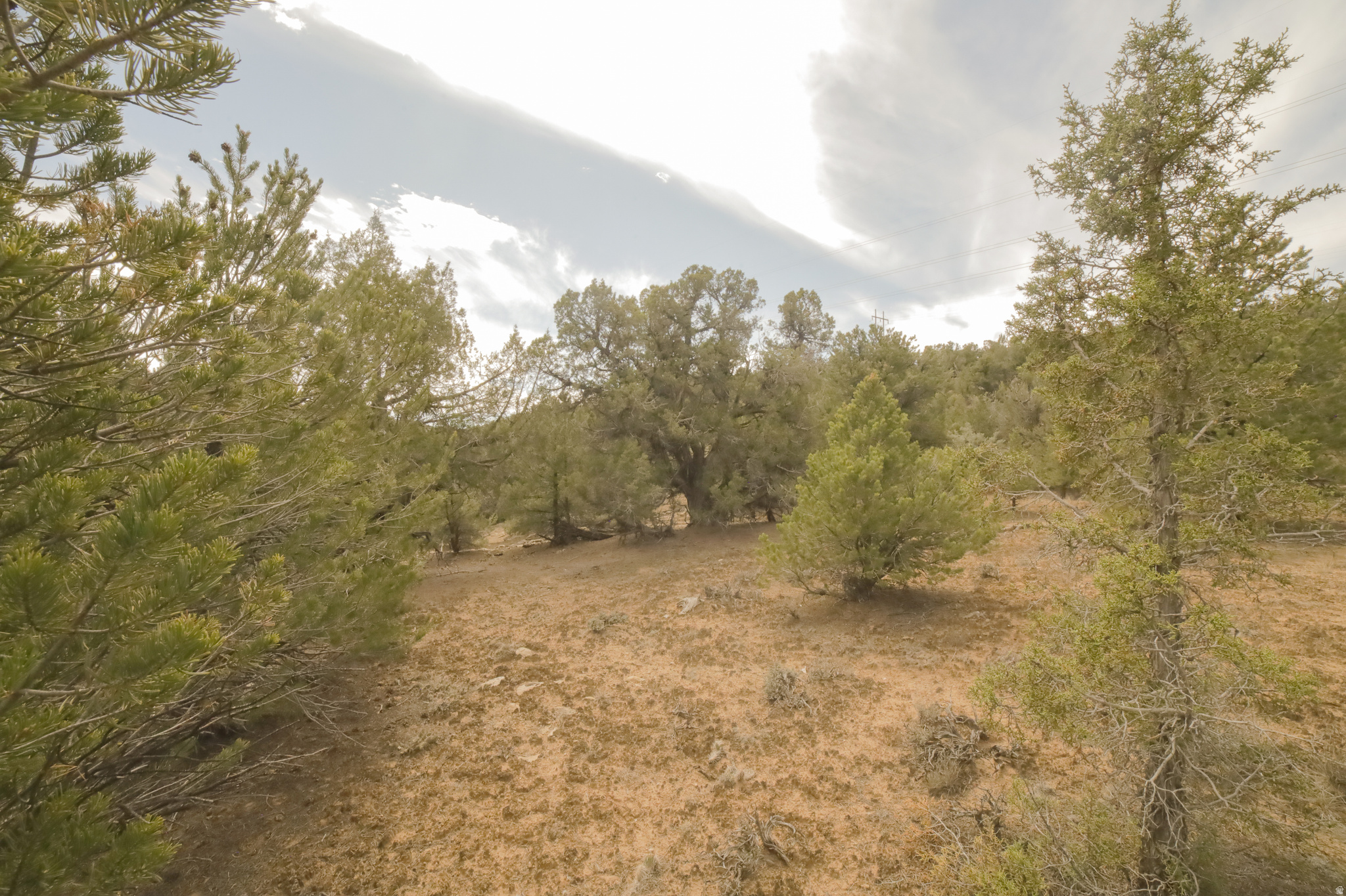 main property photo 61