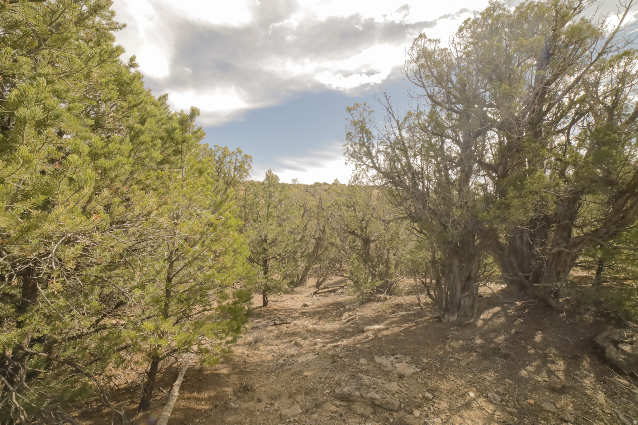 main property photo 62