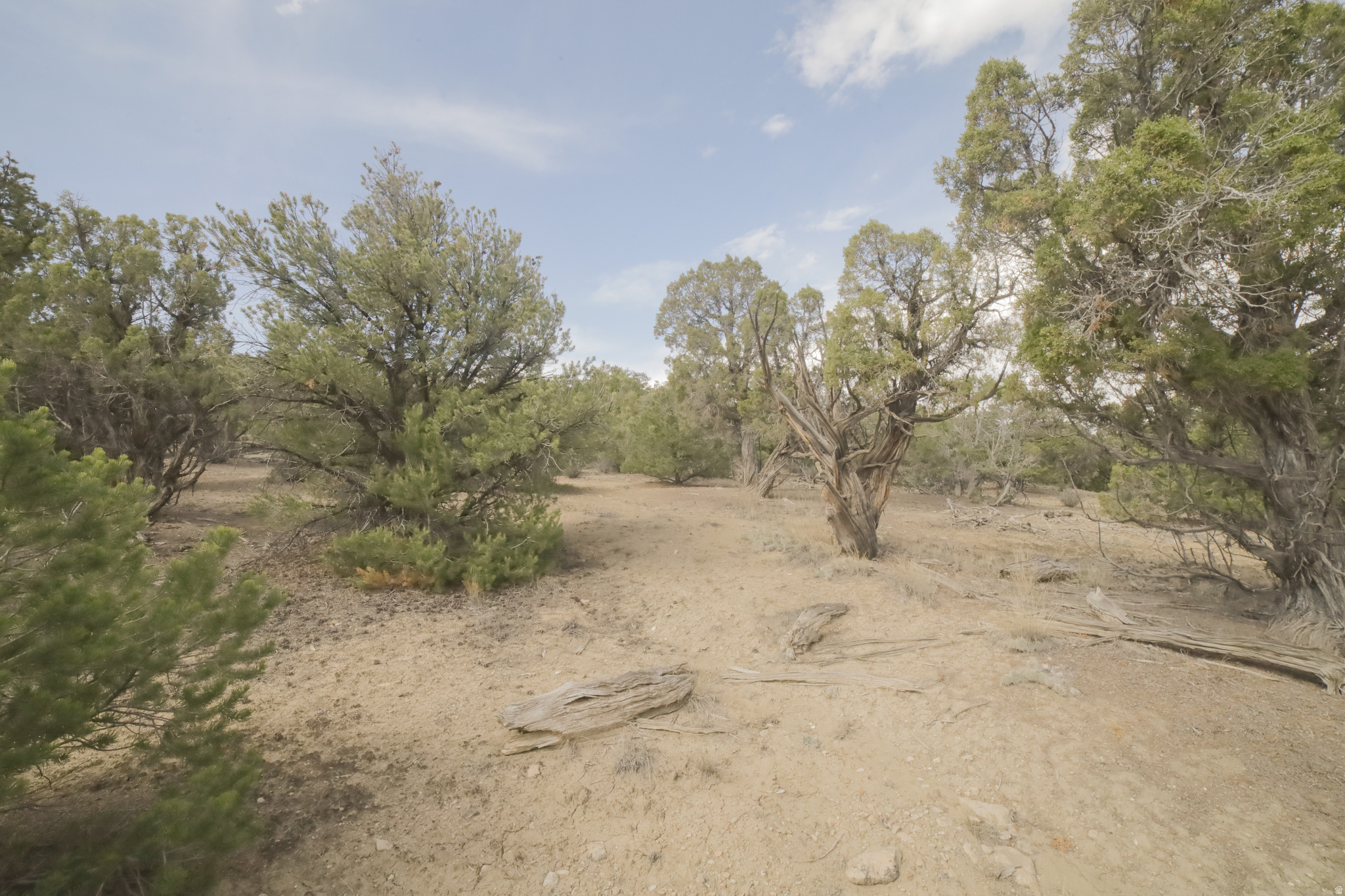 main property photo 63