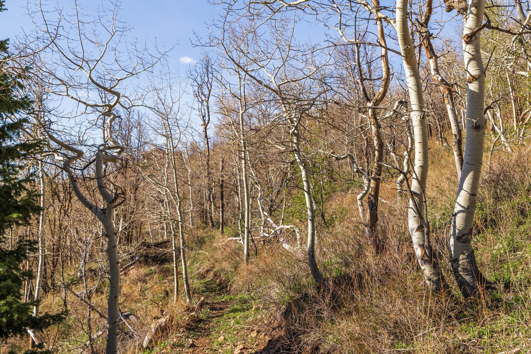 main property photo 11