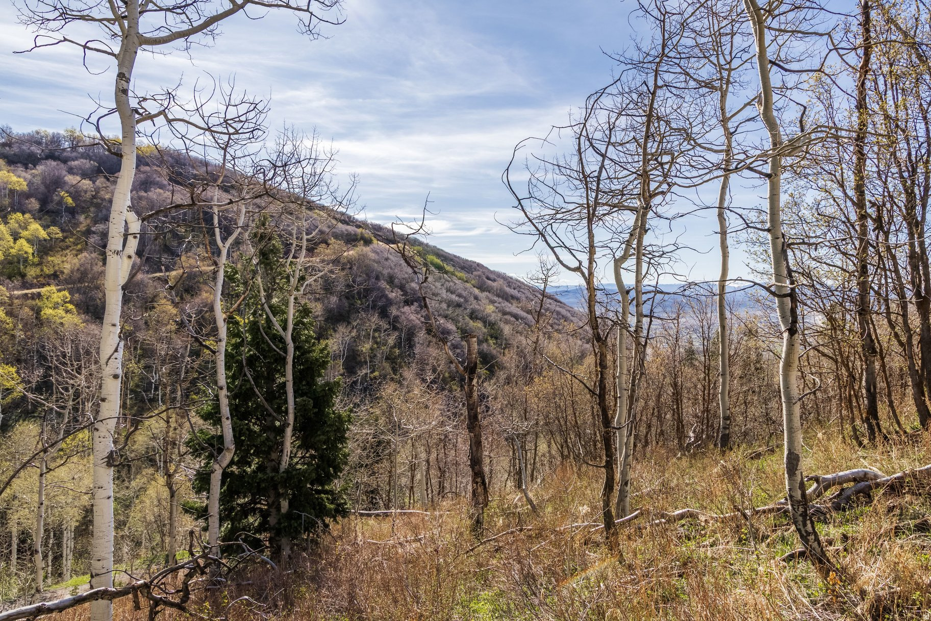 main property photo 16
