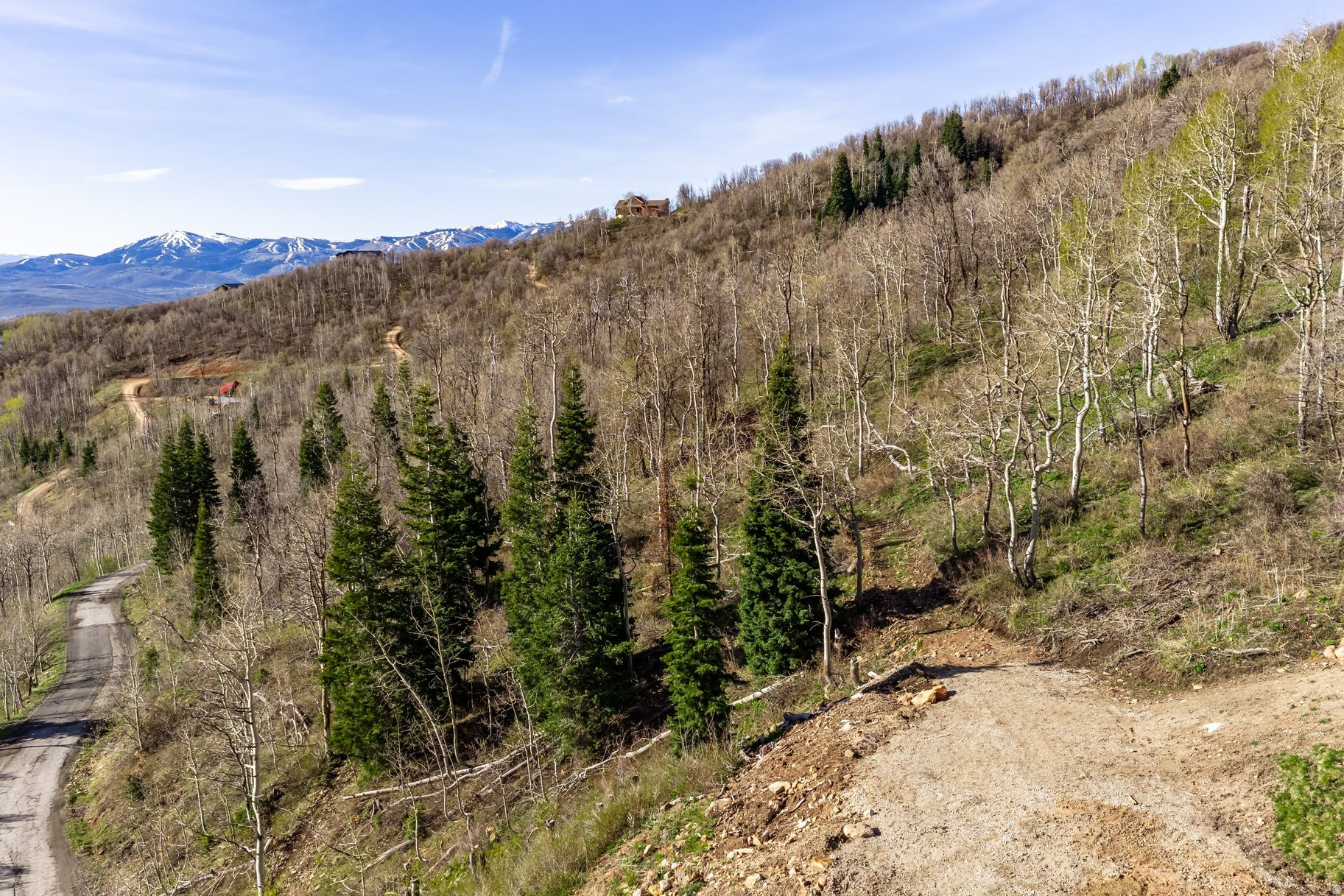 main property photo 18