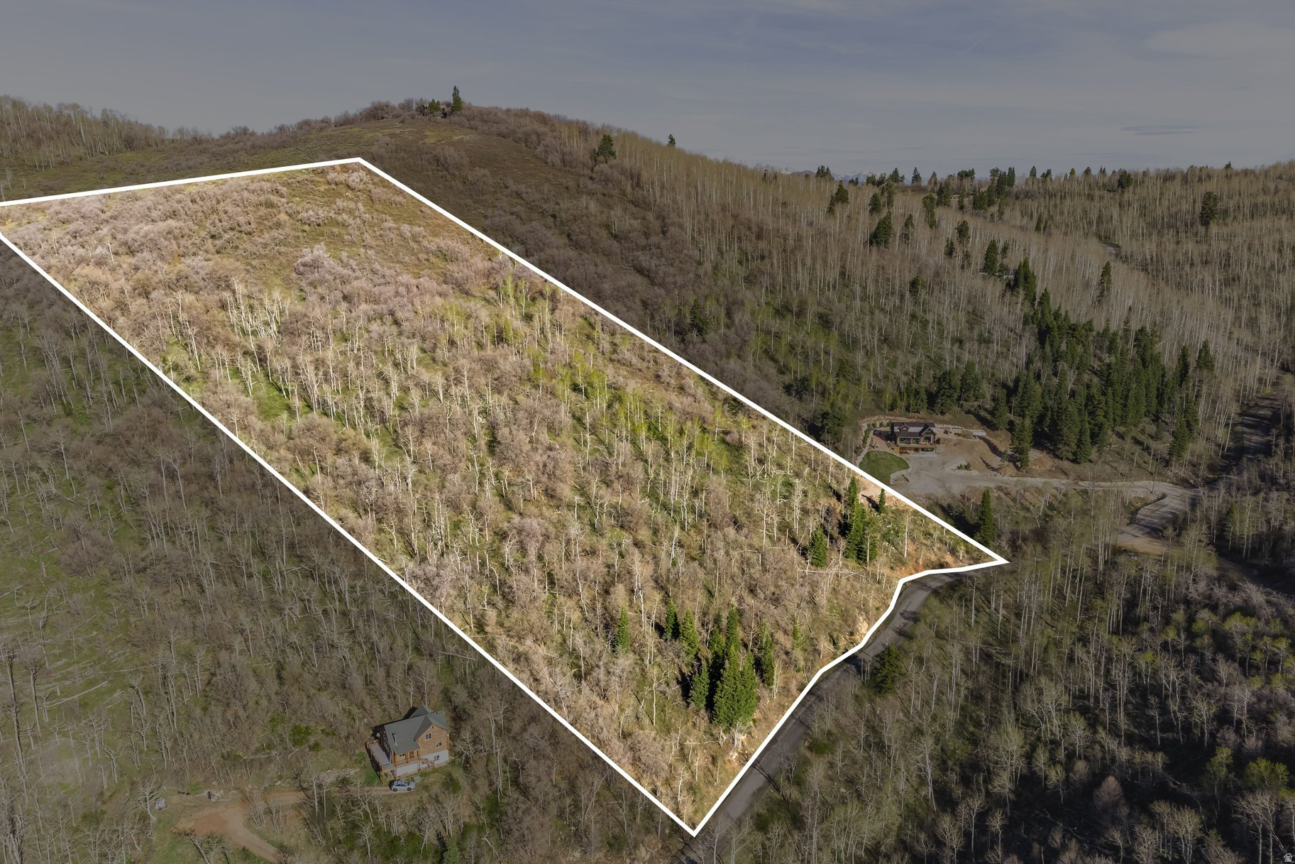 main property photo 6