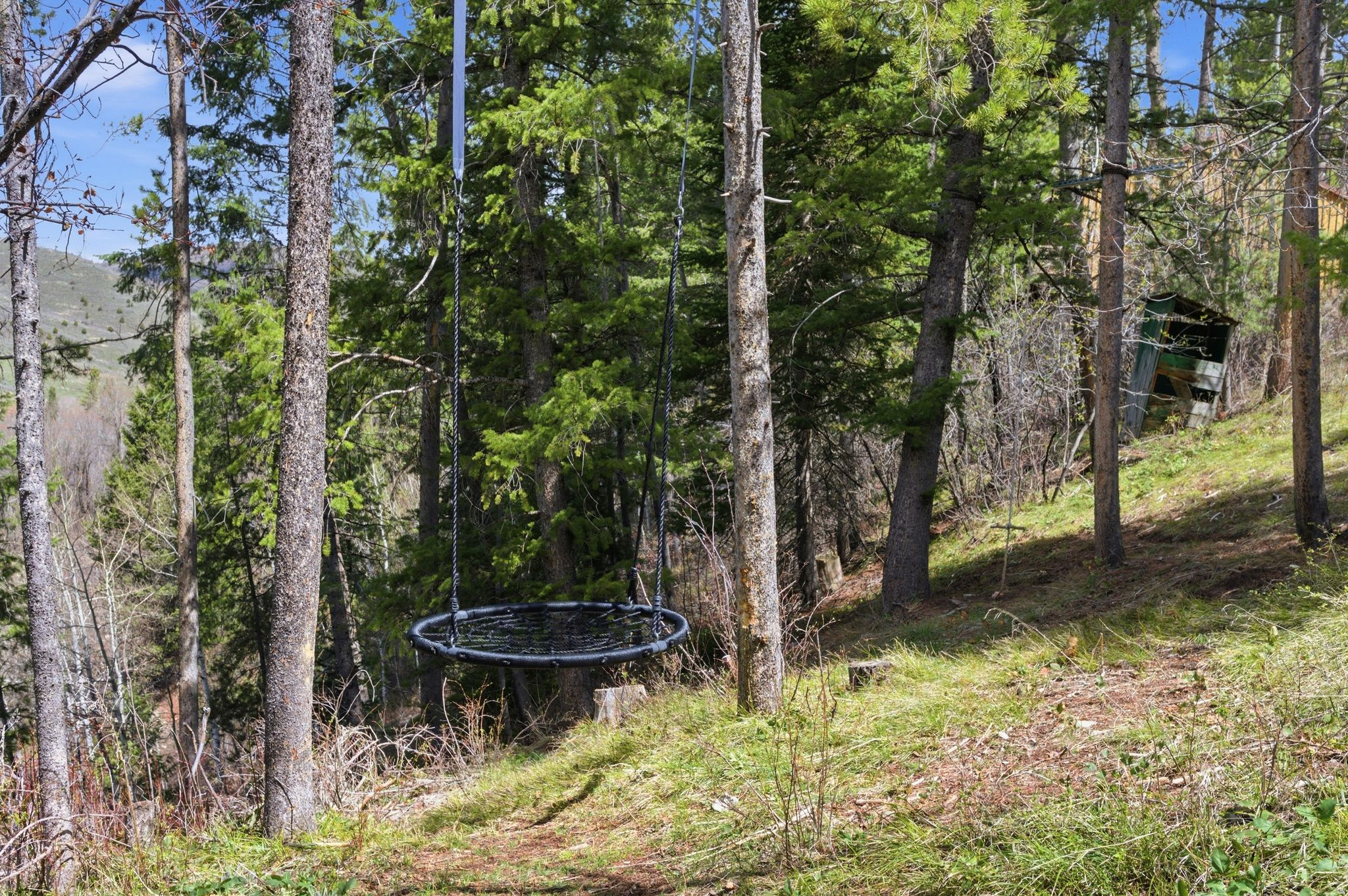 main property photo 43