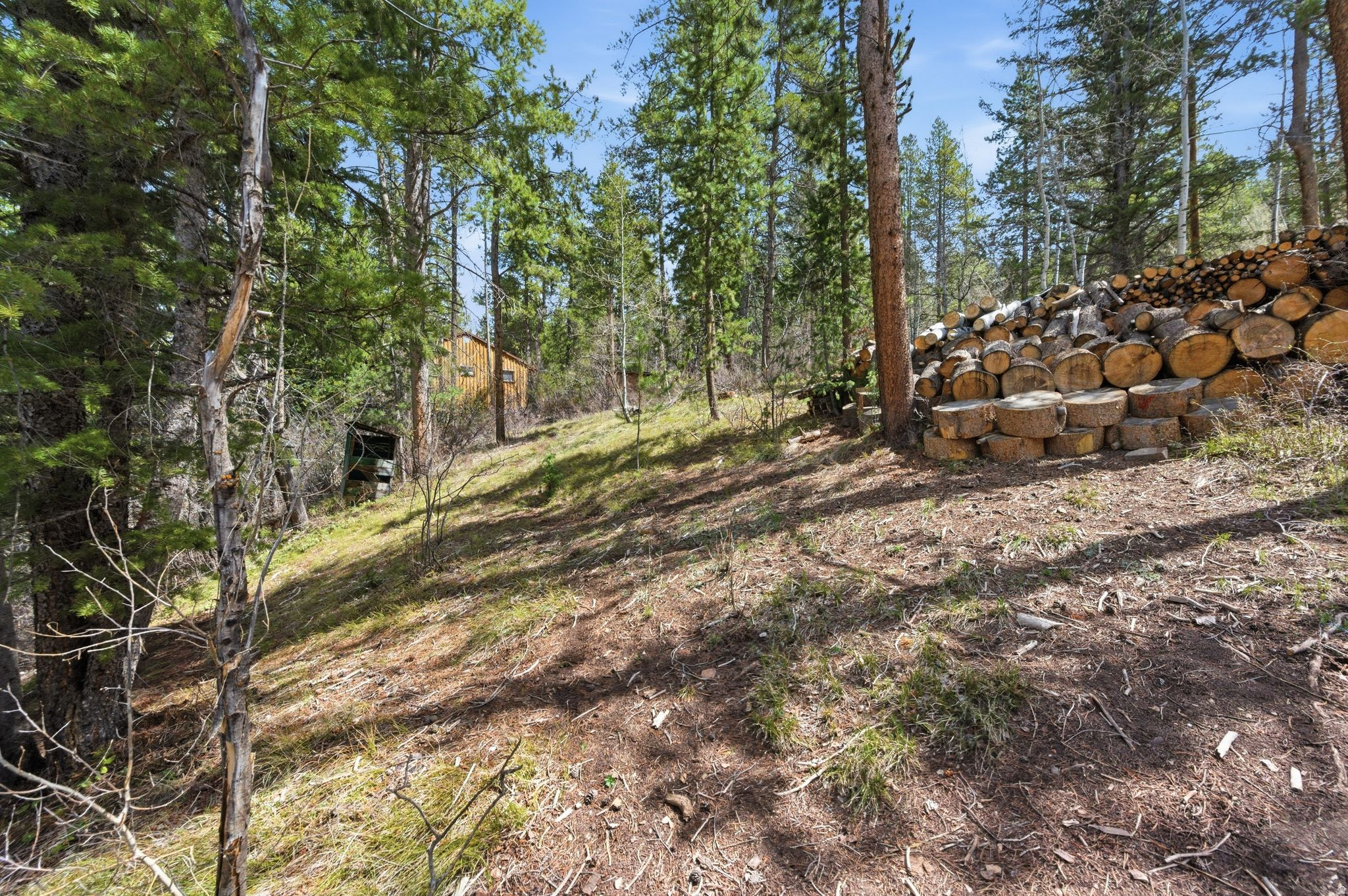 main property photo 45