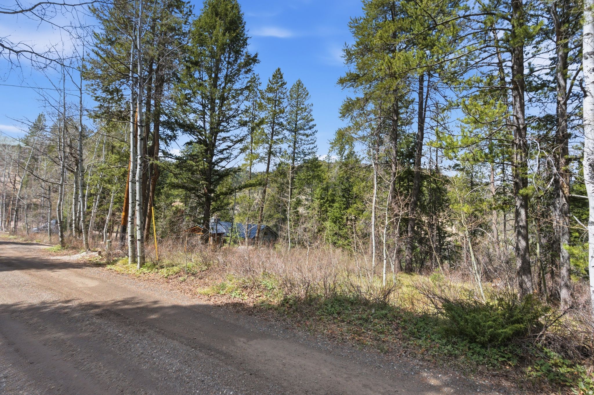 main property photo 46