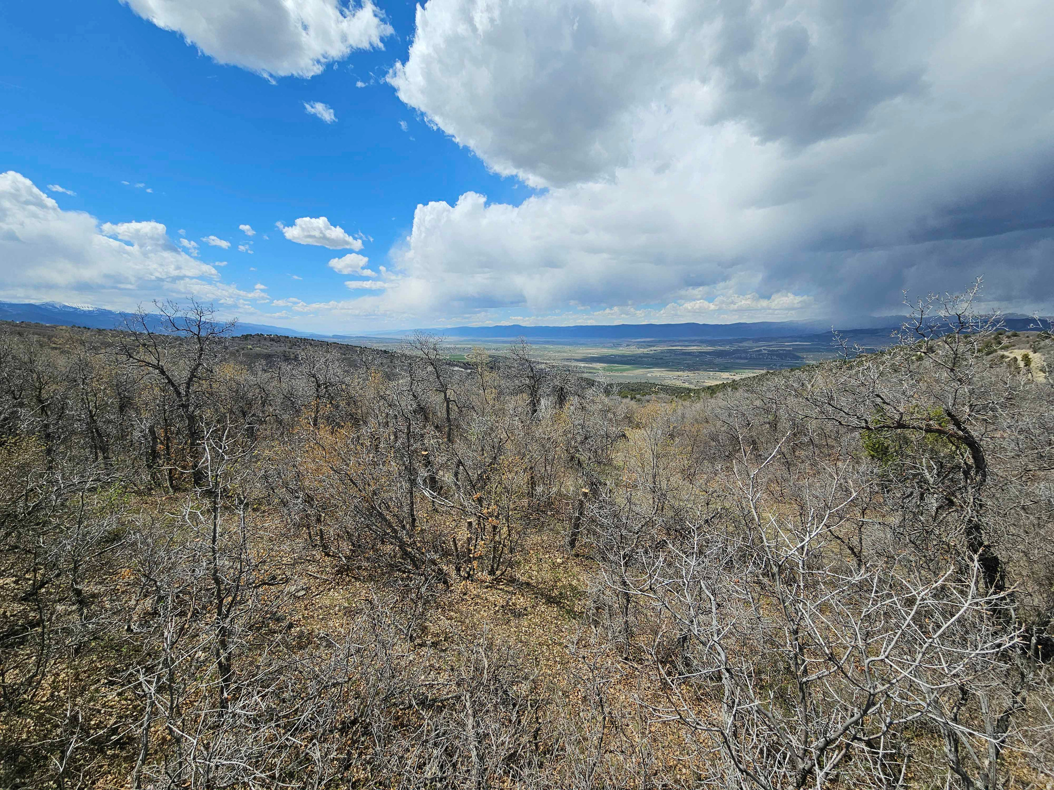 main property photo 0