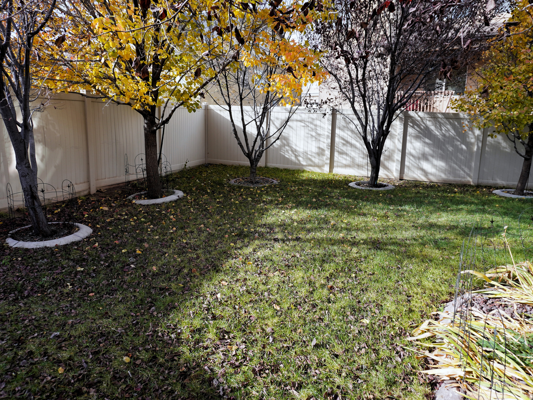 main property photo 59