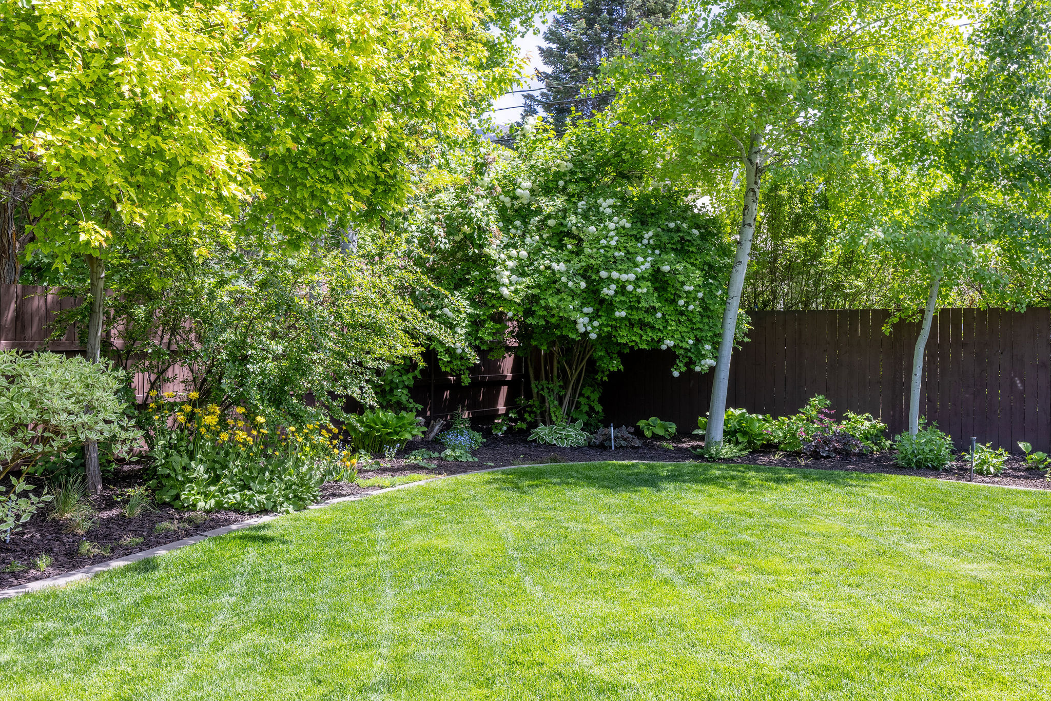 main property photo 58