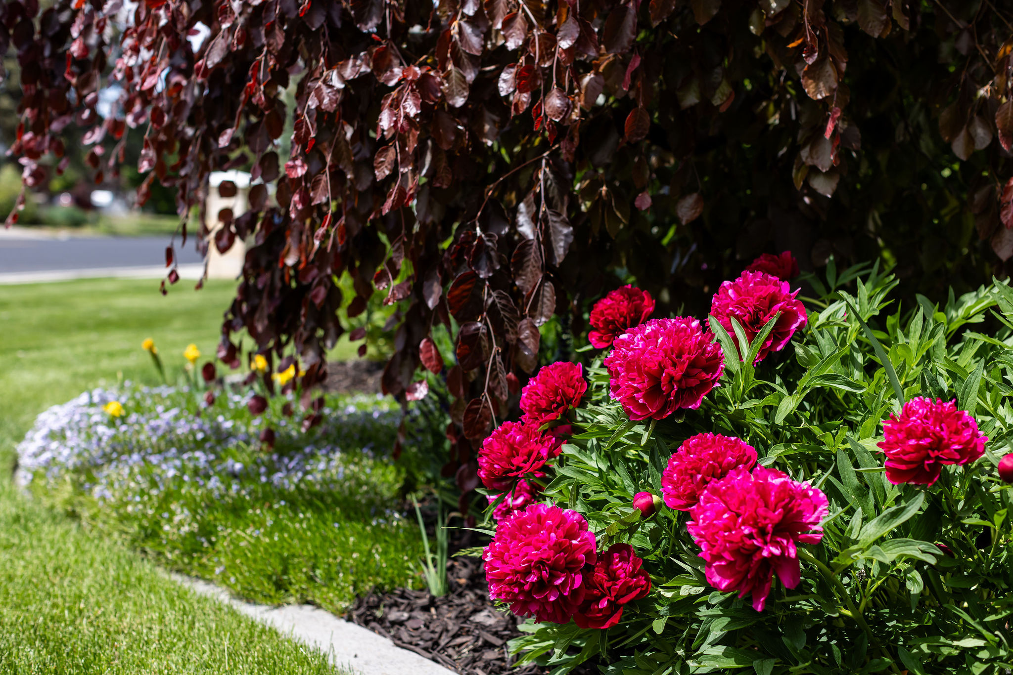 main property photo 63