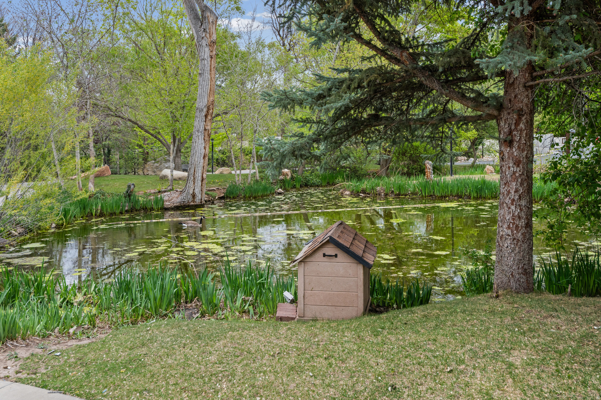 main property photo 21