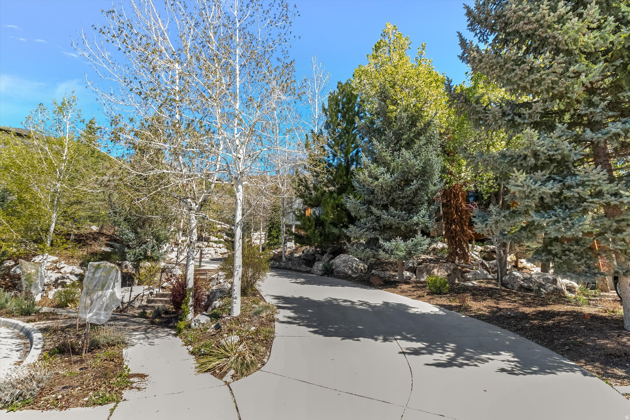 main property photo 63